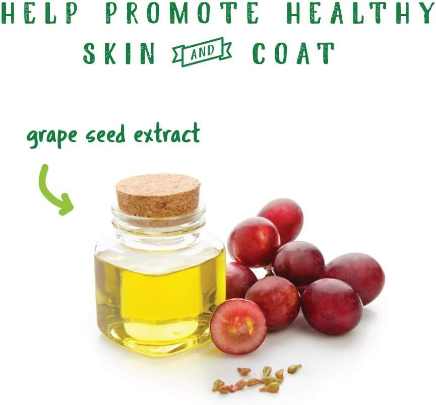 How Our Horses Found Natural Relief from Pesky Insects with‌ Bug Clear