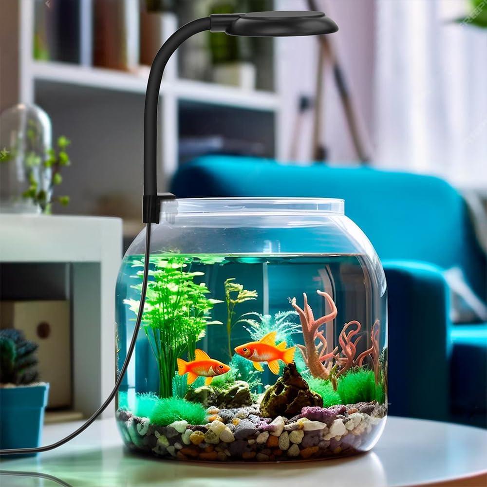 How Our tiny USB Aquarium Light Transformed ⁢Small Tank views