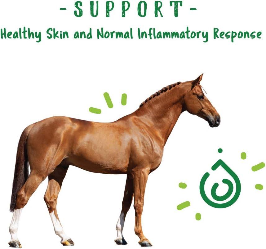 How Our Horses Found Natural ‍Relief ​from Pesky Insects with Bug Clear