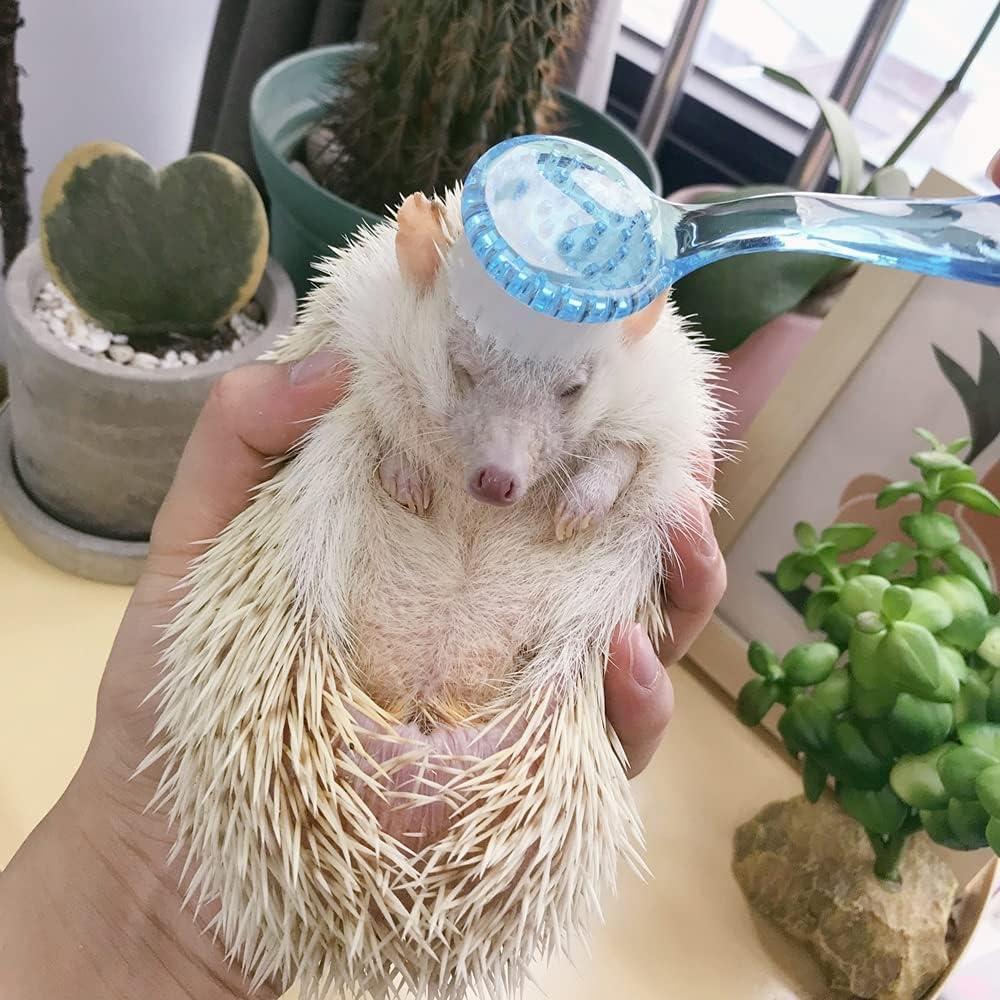 How Our Trio of Soft Brushes Transformed Pet grooming Care