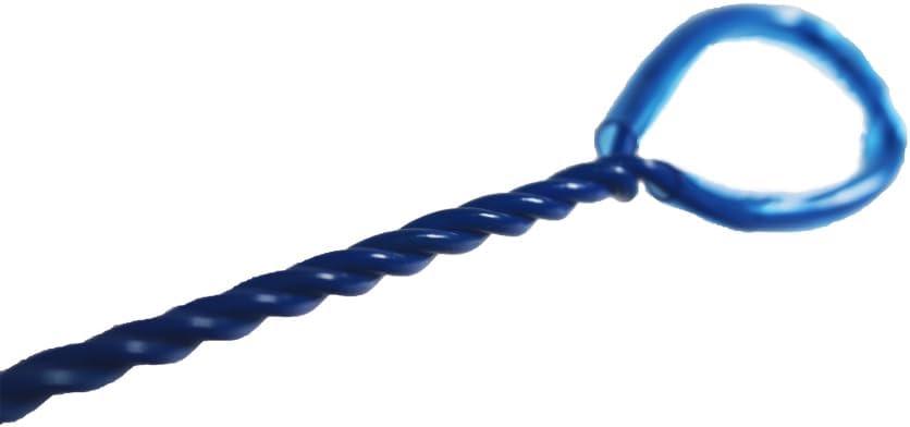 Why Our Aquarium Routine Improved with This Quick, Durable Net