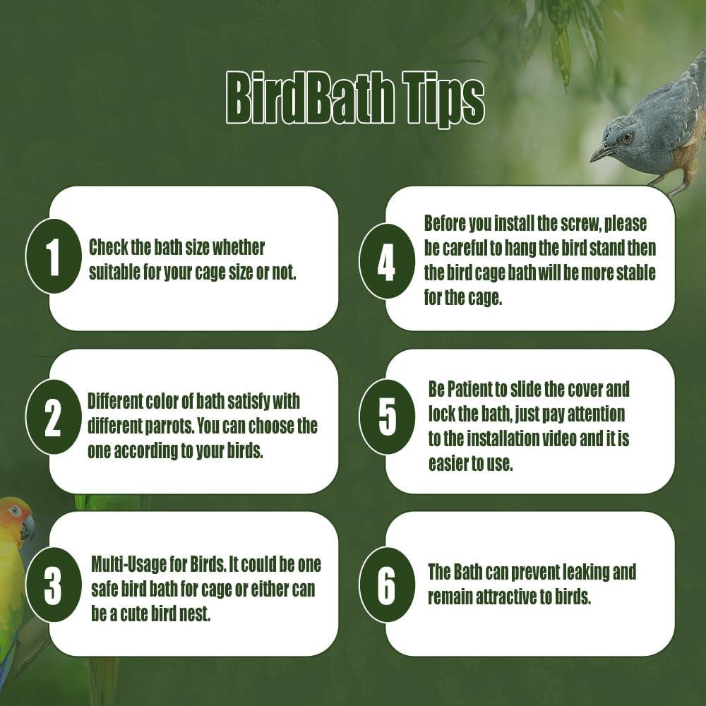 Why Our Feathered Friends Love This Easy-to-Mount Bird Bath