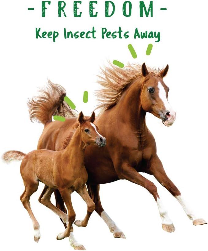 How Our Horses Found Natural Relief from Pesky Insects ⁢with bug Clear