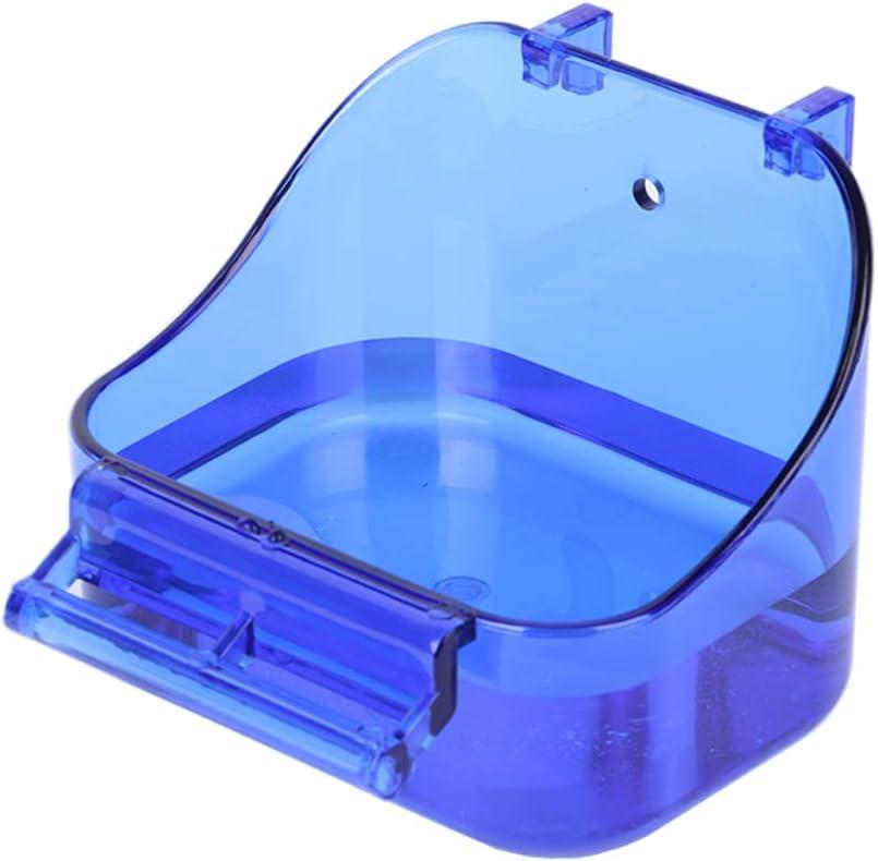 How ⁤Our Feathered‌ Friends Enjoy a safe, Splashy Spa day