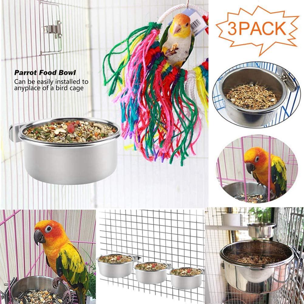 How Our ⁣Birds Thrived with PINVNBY’s Sturdy Stainless Steel Bowls