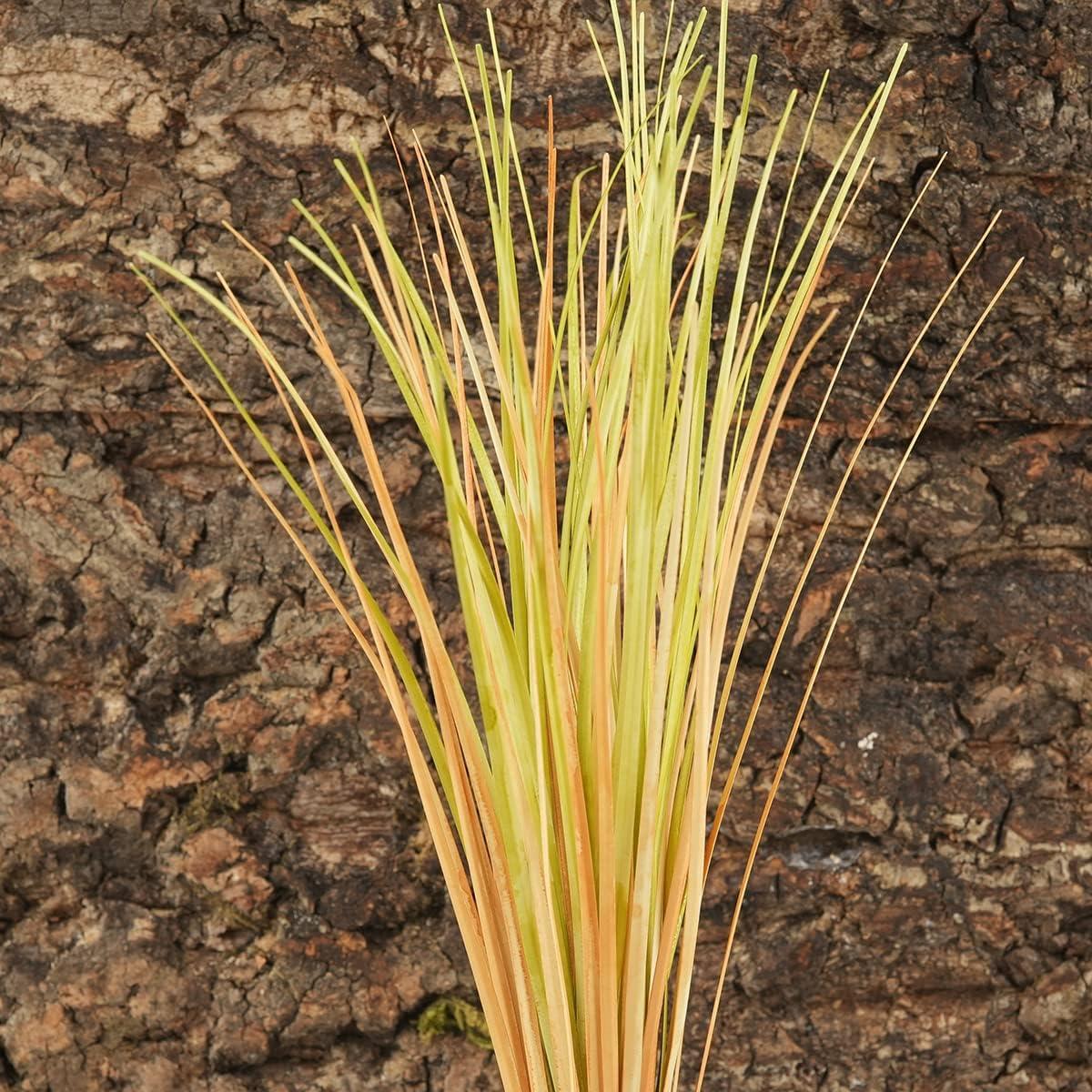How ⁣We Bring the Desert Home:⁣ Easy, Lifelike Terrarium Grass