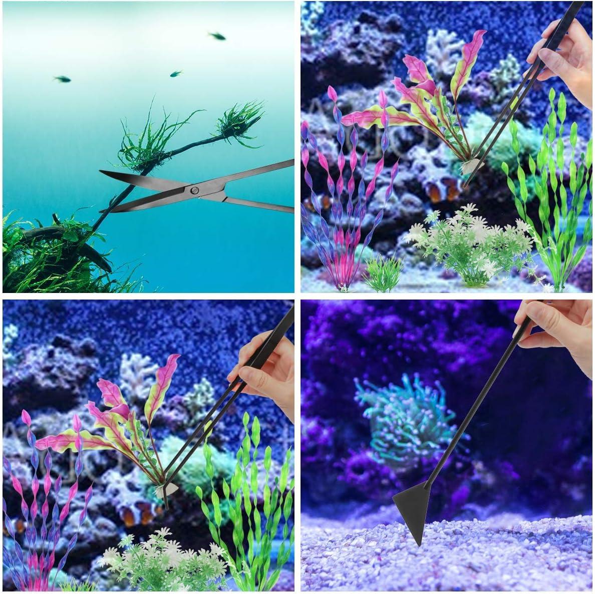 How Our Aquarium Toolkit Transformed Plant Care and Tank Cleanliness