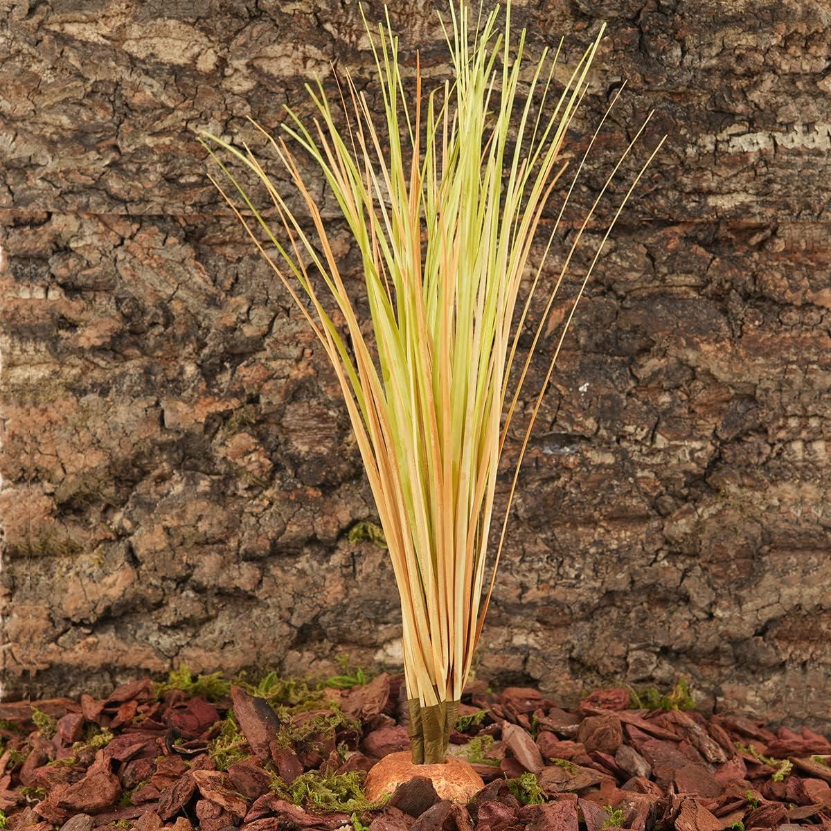 How We Bring‍ the Desert Home: Easy, Lifelike Terrarium Grass