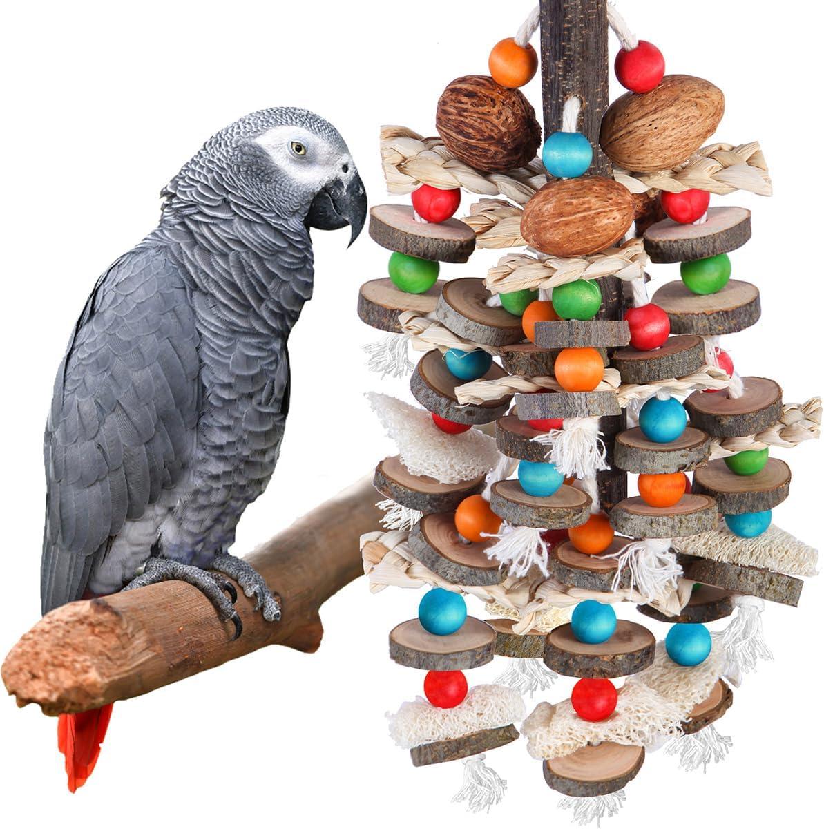 How This Natural parrot Toy Keeps Our Birds Happier and Healthier