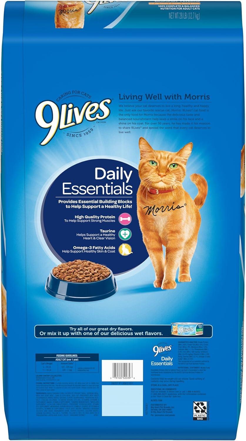 The Balanced Feast Keeping Our Cats Healthy and Happy Daily