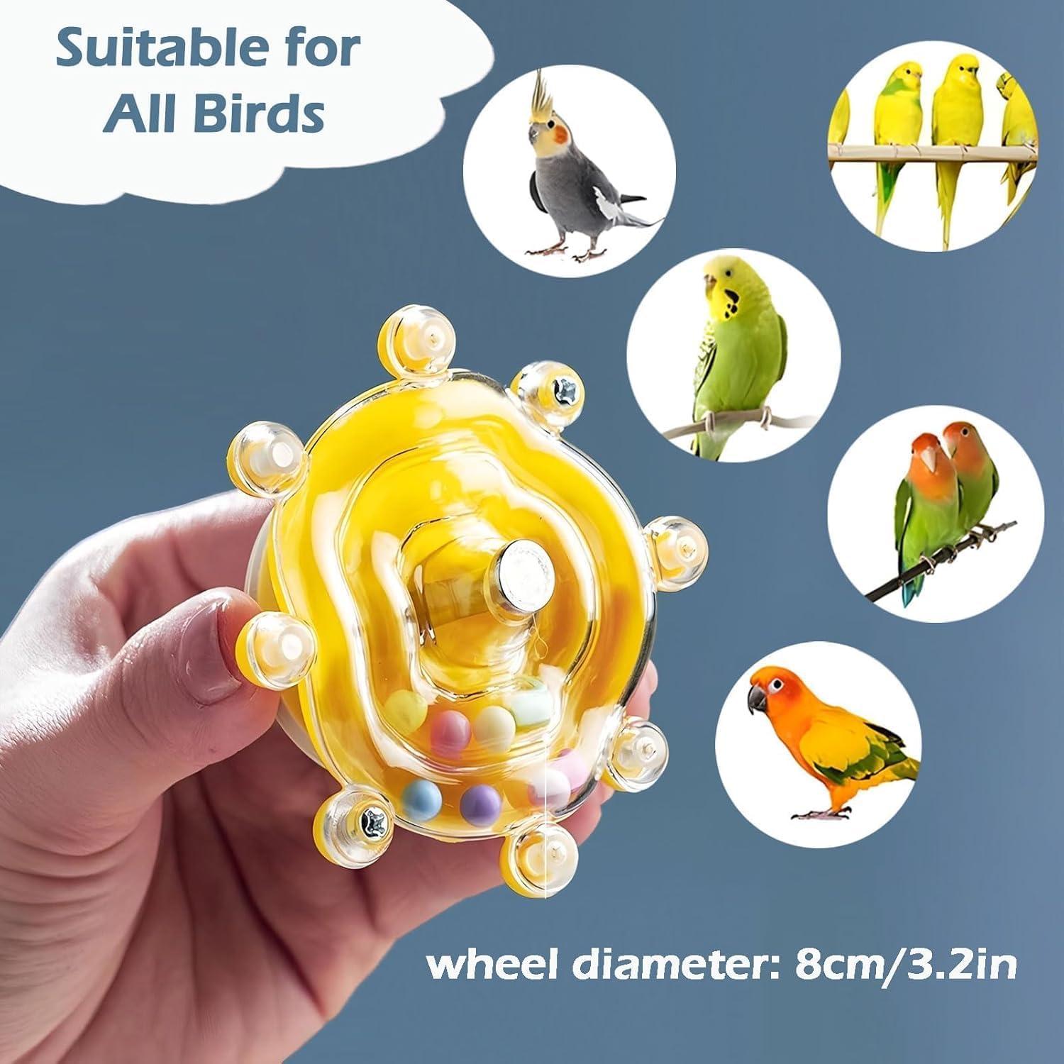How Our Feathered Friends Stay Active with This Colorful Spinner