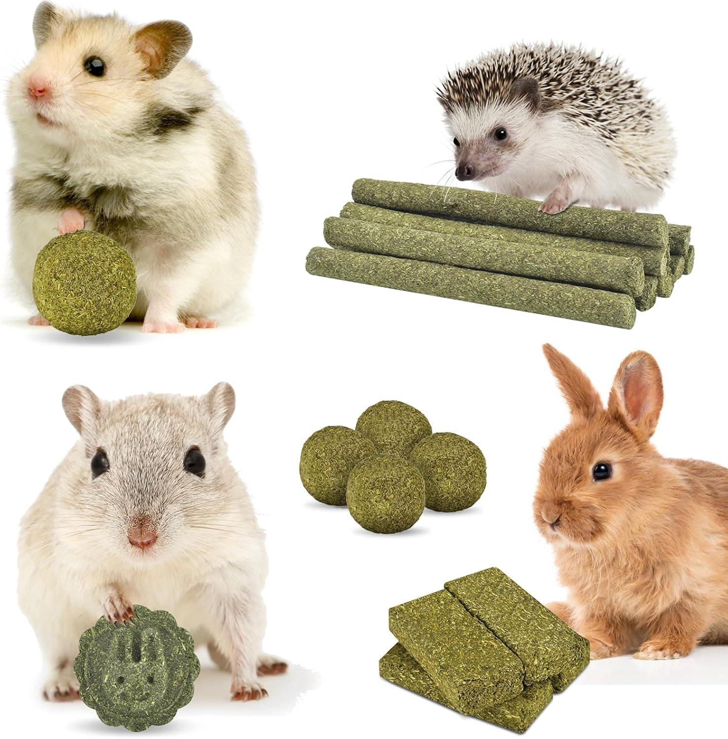 How natural Timothy Chew Toys‌ Keep Our Rodents’ Teeth Healthy