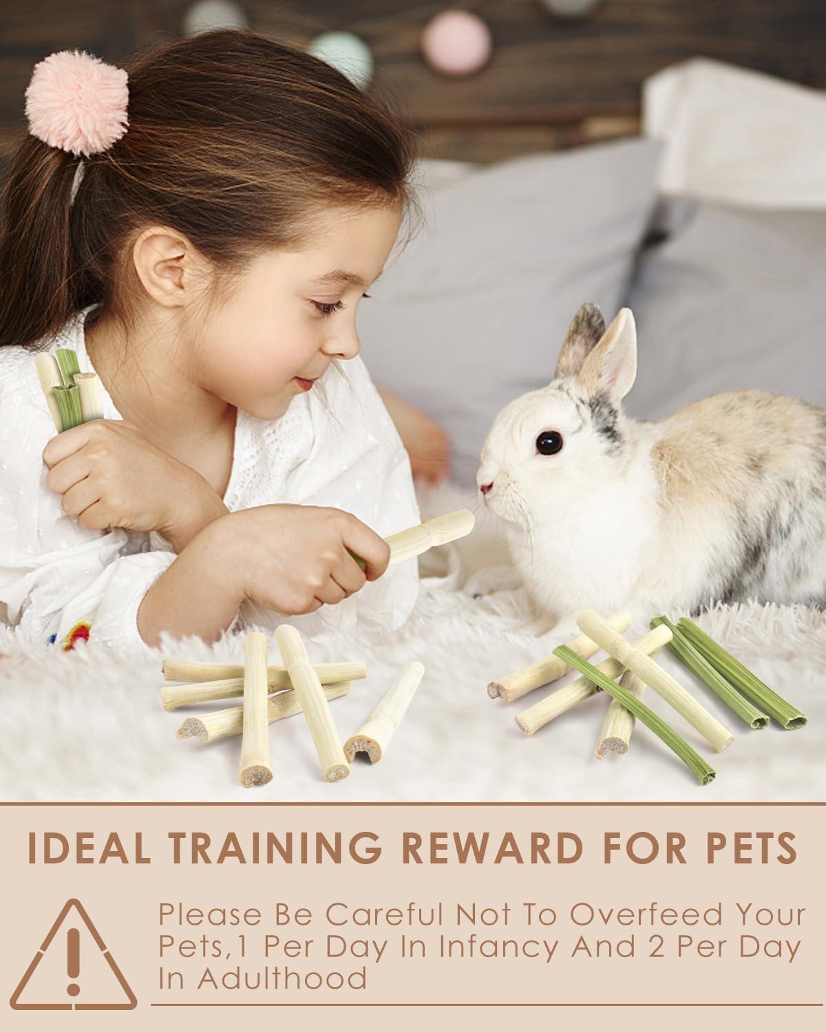 How We Keep Our Small Pets Happy and Healthy with Natural Chews