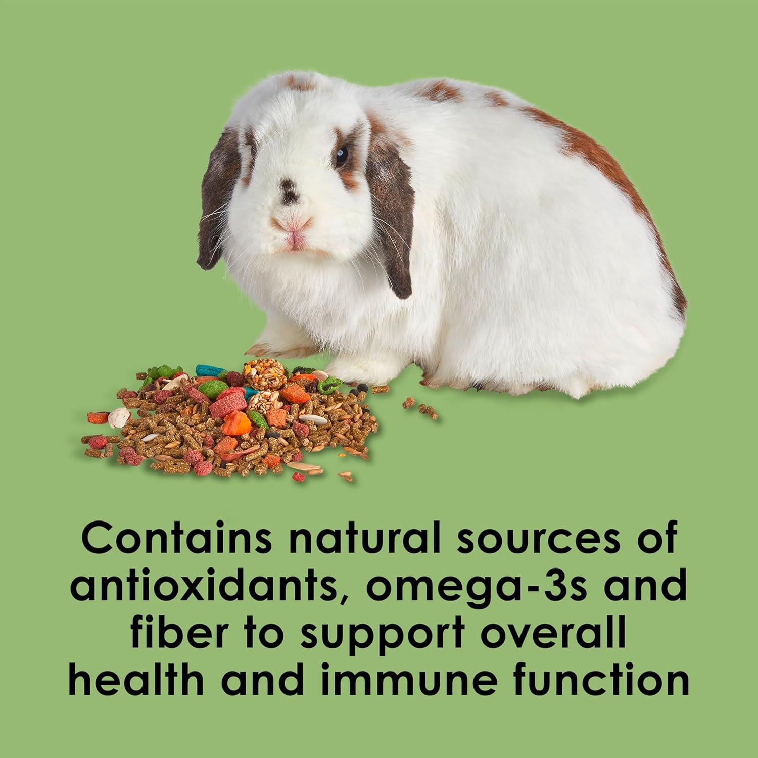 Why Kaytee Fiesta Turns every Bunny’s Meal into a Celebration