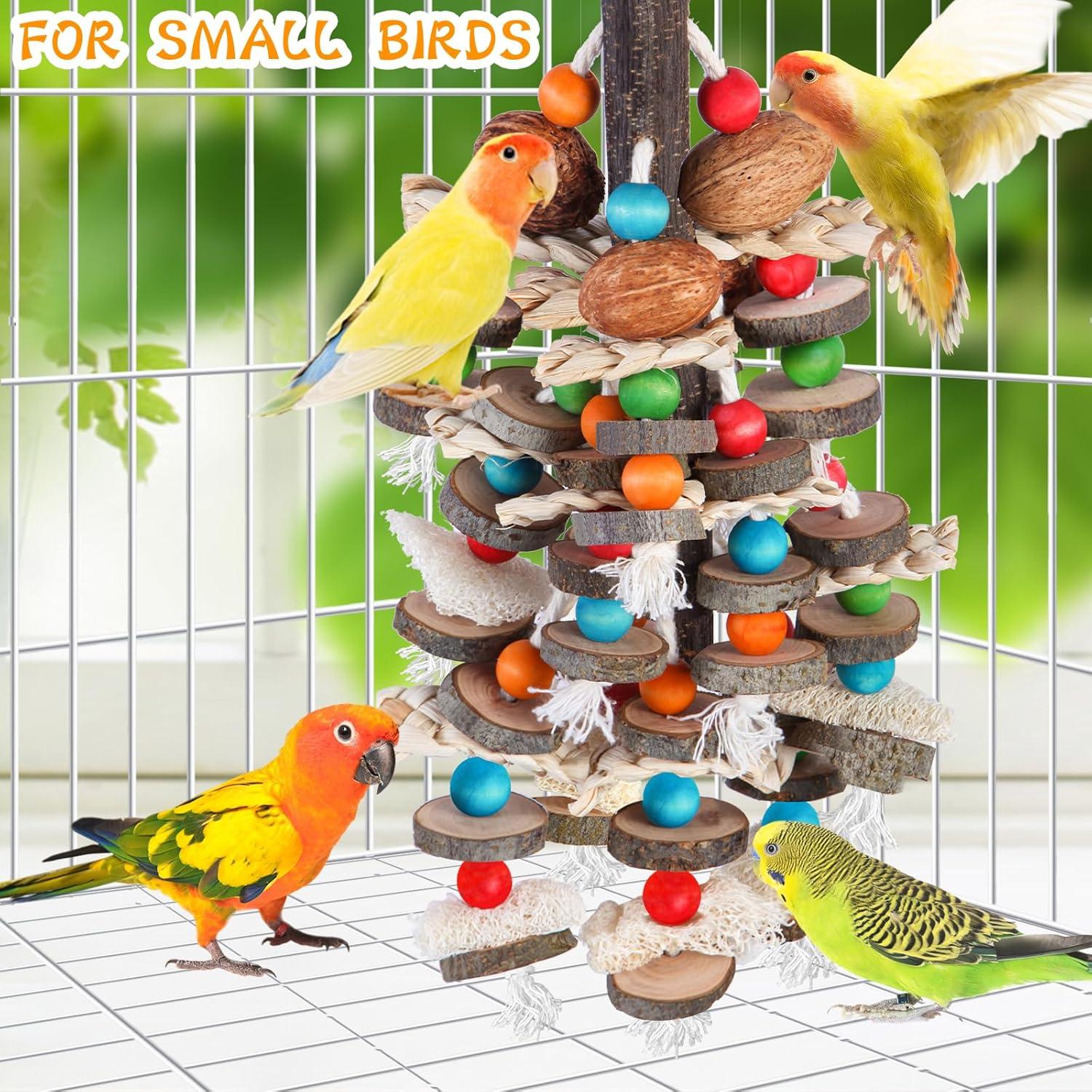 How This Natural Parrot toy Keeps Our Birds Happier and Healthier