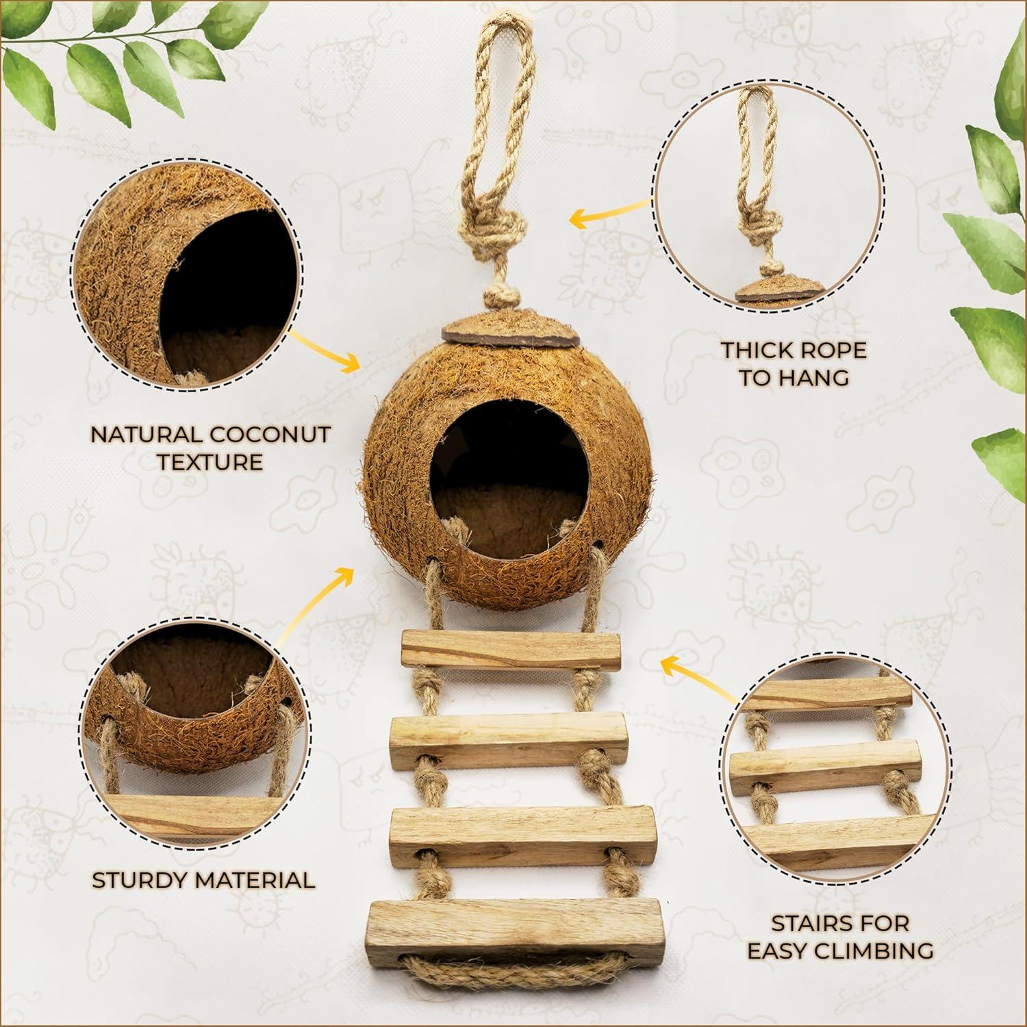 How Our Gecko’s Coconut Hide Inspires Play and Cozy Comfort