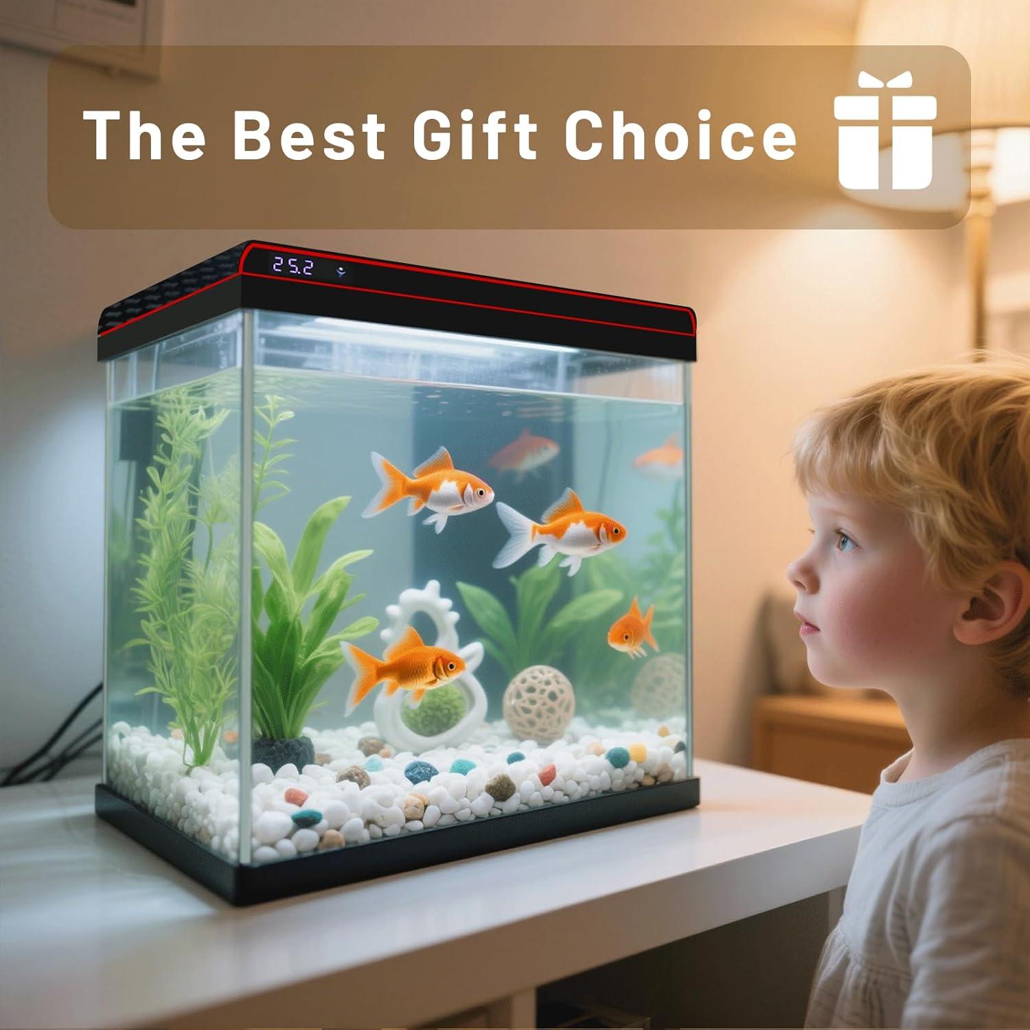 The Self-Cleaning Aquarium That Makes Betta ‌Care‍ Effortless for Us