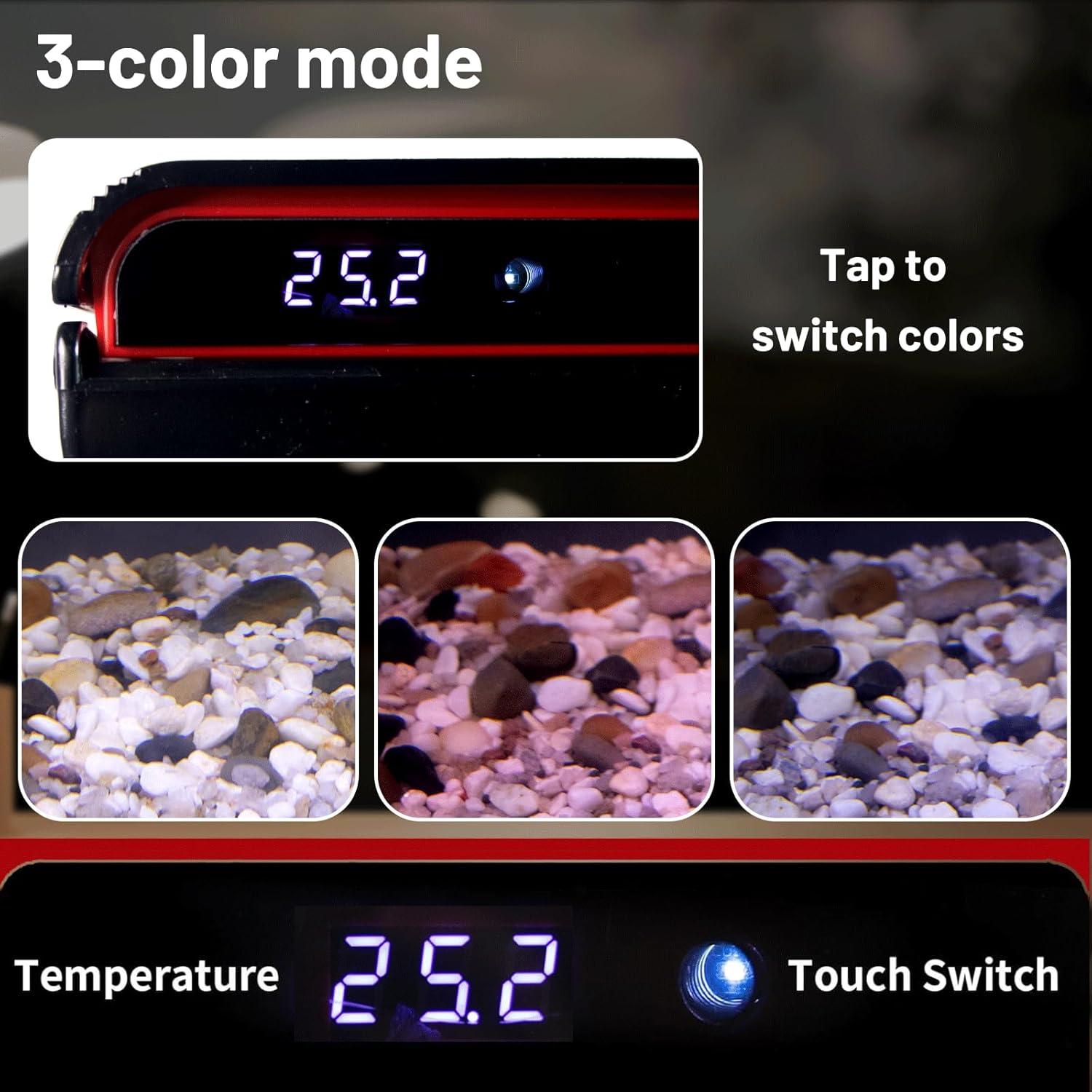 The Self-Cleaning Aquarium That Makes Betta Care ​Effortless for‌ Us