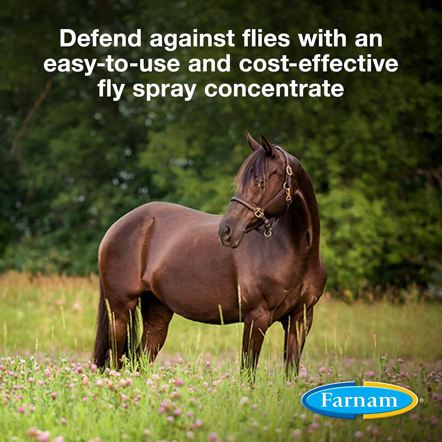 How We Mix Bulk Fly Spray⁢ That ‌keeps Our Horses Bite-Free