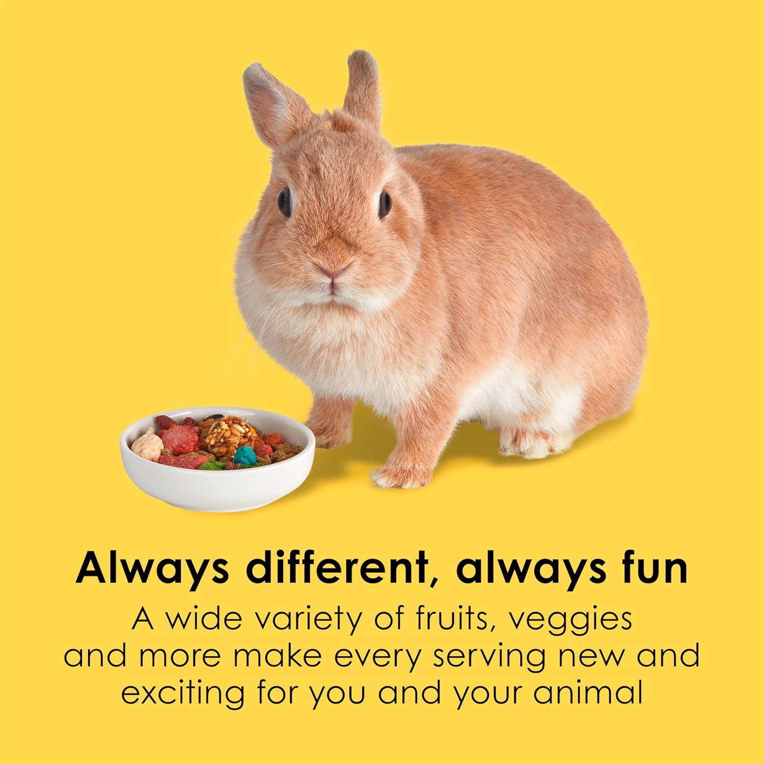 Why Kaytee Fiesta Turns Every Bunny’s Meal into a Celebration