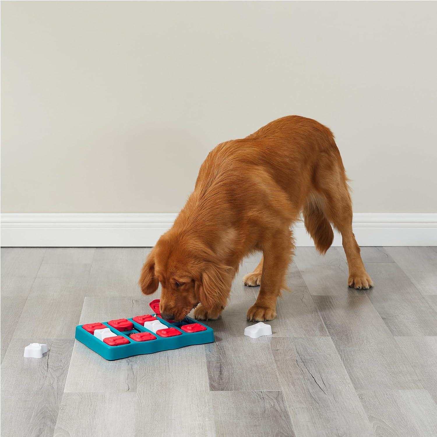 Keeping Our Dogs Sharp: The Interactive Puzzle That Turns⁤ Treats Into Brain games