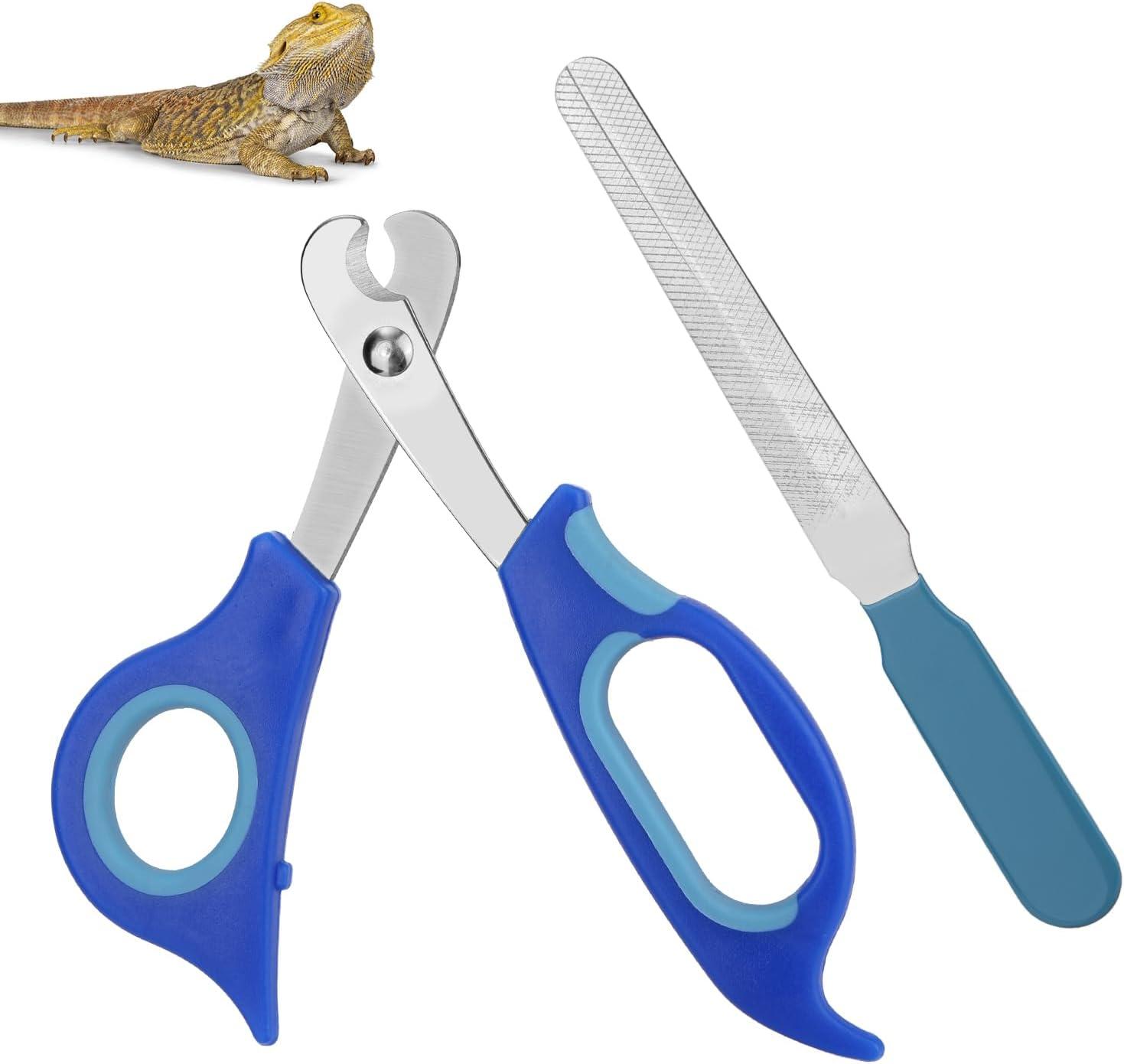 How Our ​Blue Stainless Clippers Made Reptile Grooming Effortless