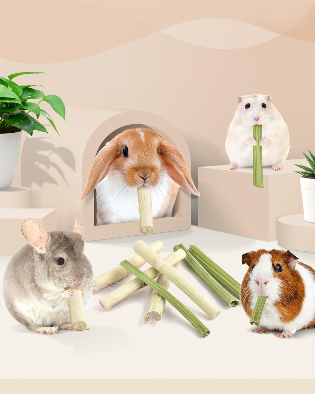 How We Keep Our Small Pets Happy and Healthy with Natural Chews