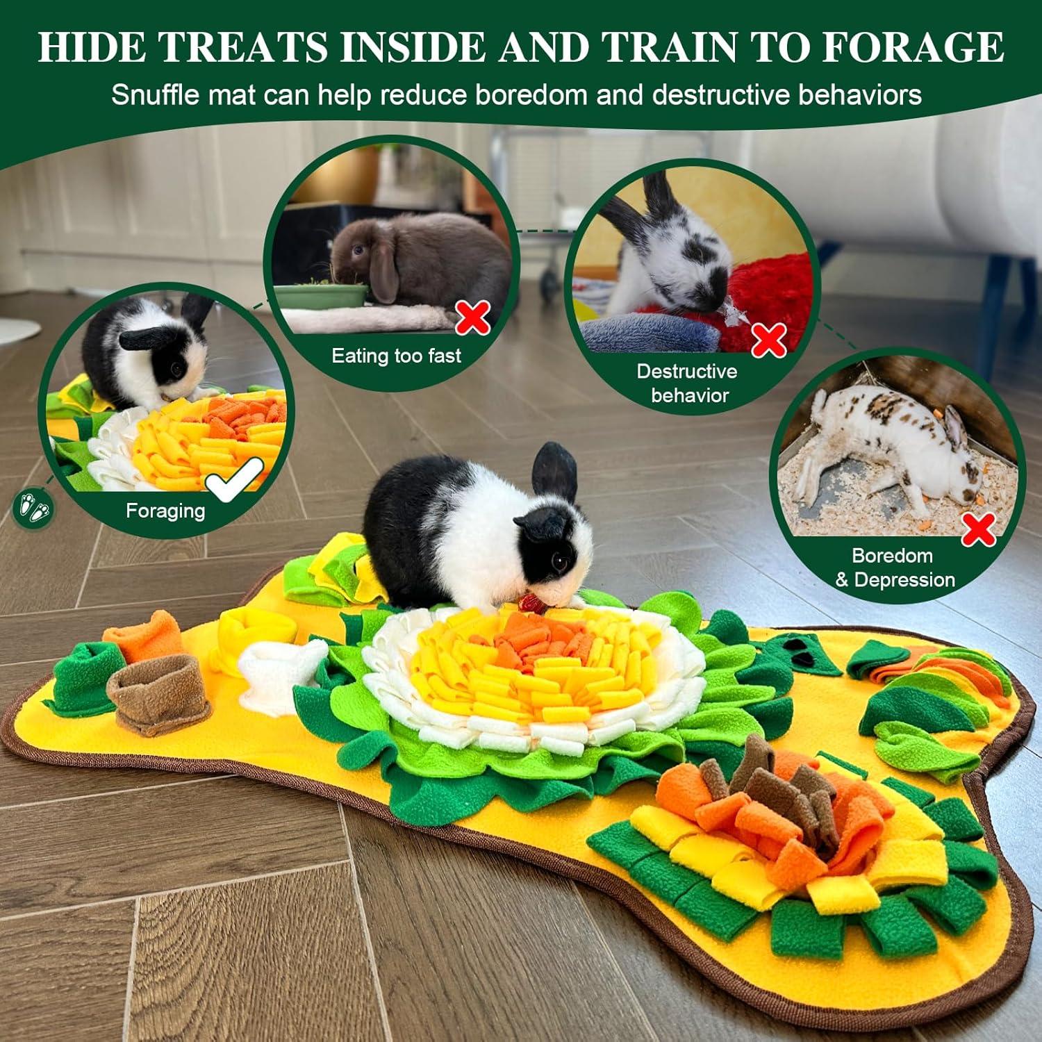 How Our Pets Stay Happy and busy with This Cozy Foraging Mat