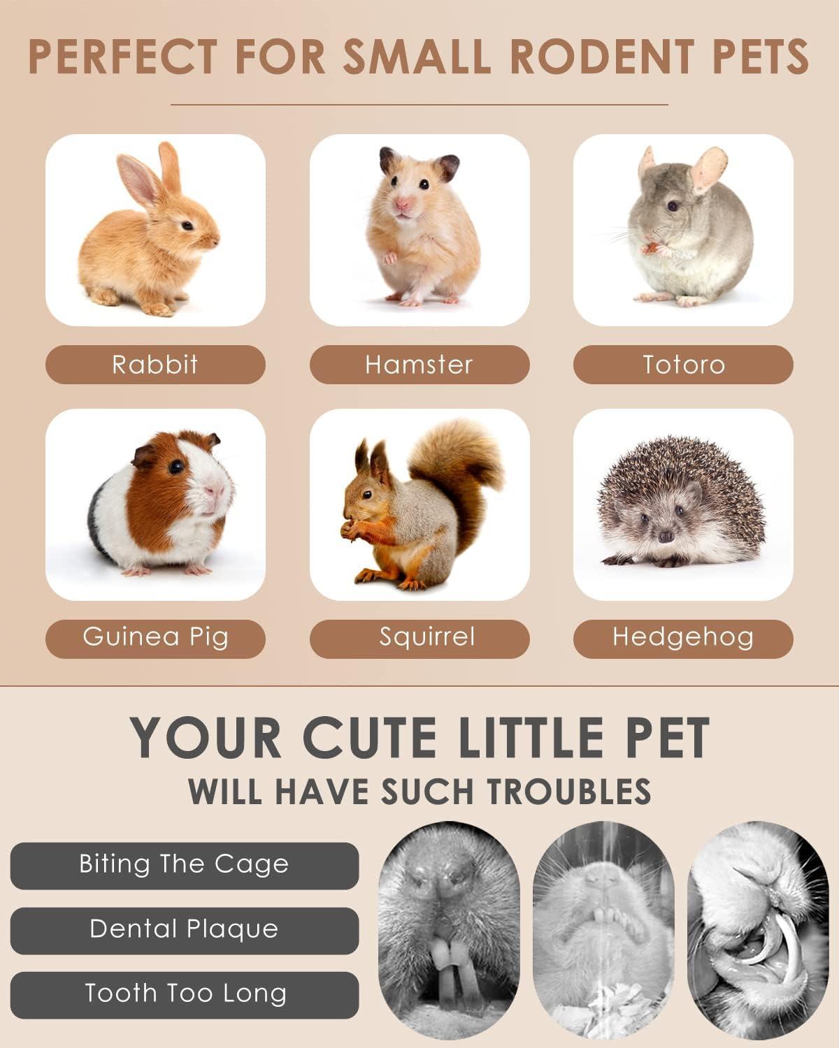 How We Keep Our Small Pets Happy and Healthy with Natural Chews