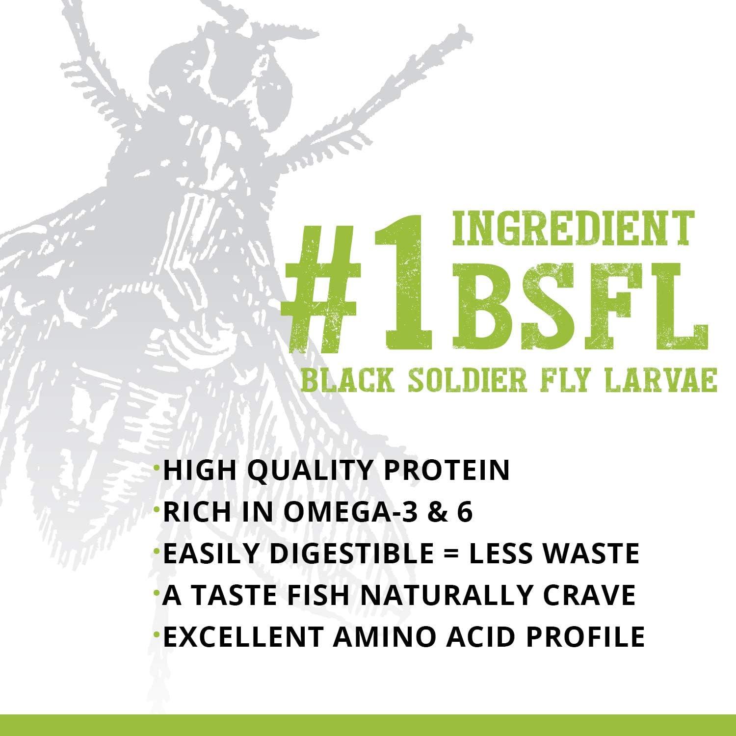 How Our​ Bottom Feeders Thrived on This Protein-Packed Insect Diet