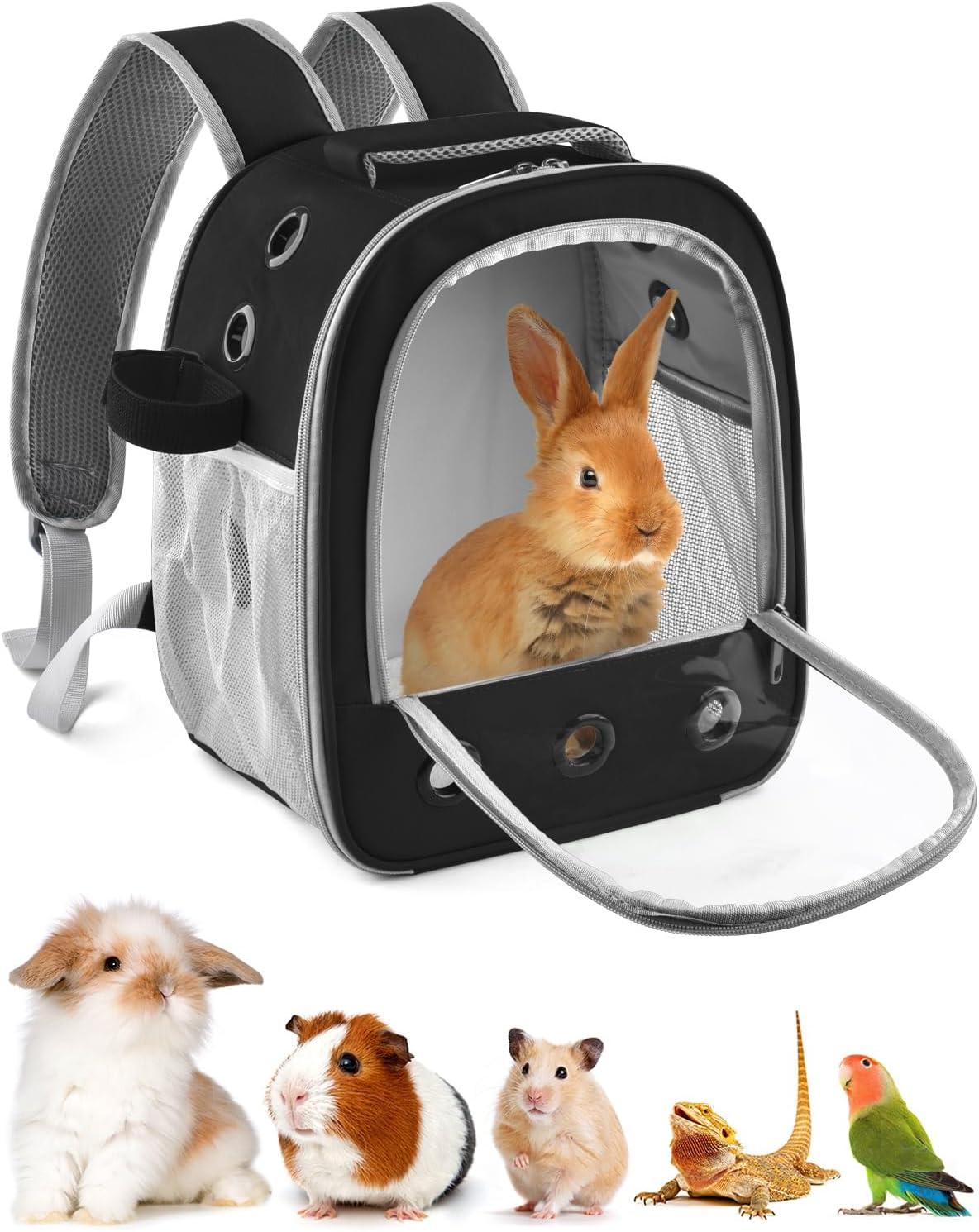 The​ Perfect Pet Carrier Backpack for Stress-Free Small Animal Travels