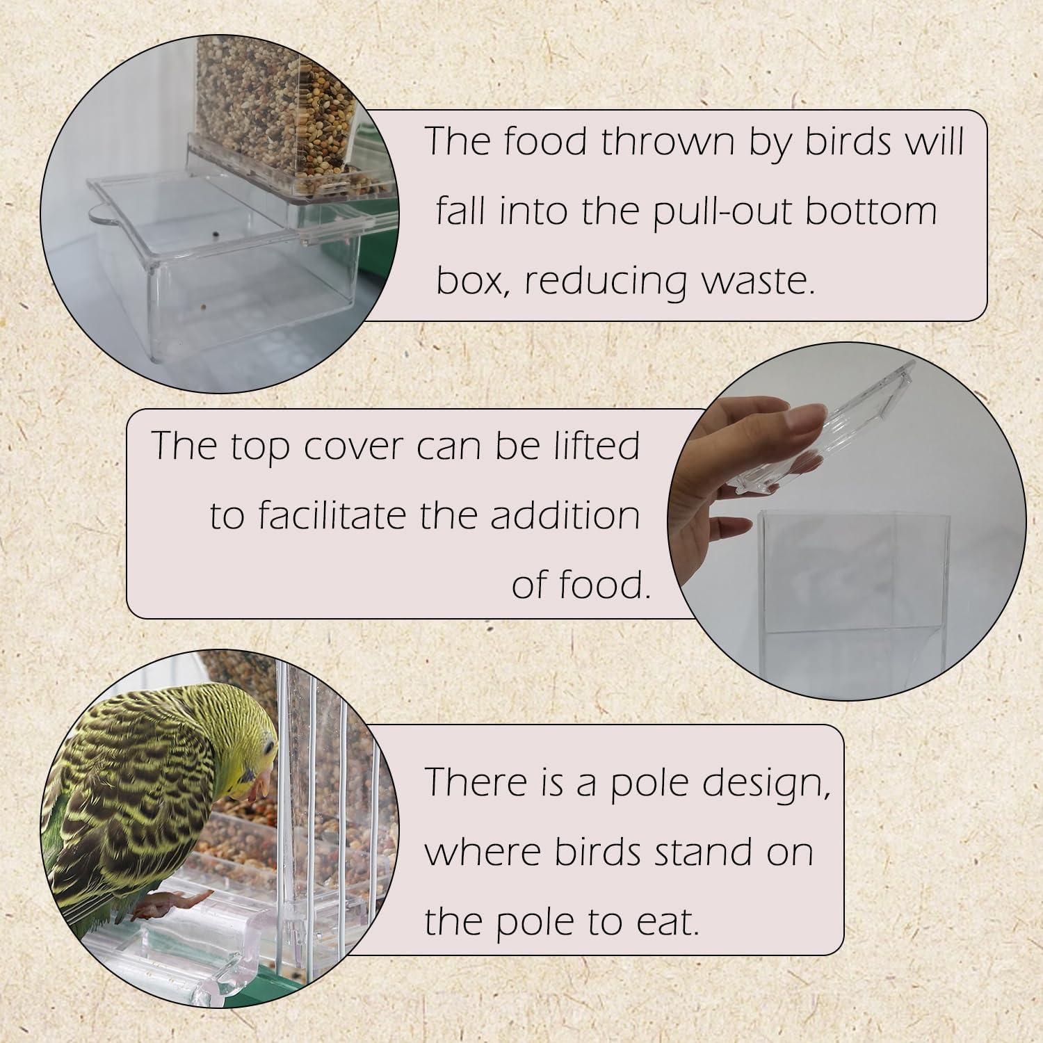 How ⁢this Mess-Free Bird Feeder Simplified Our Parrot Care Routine