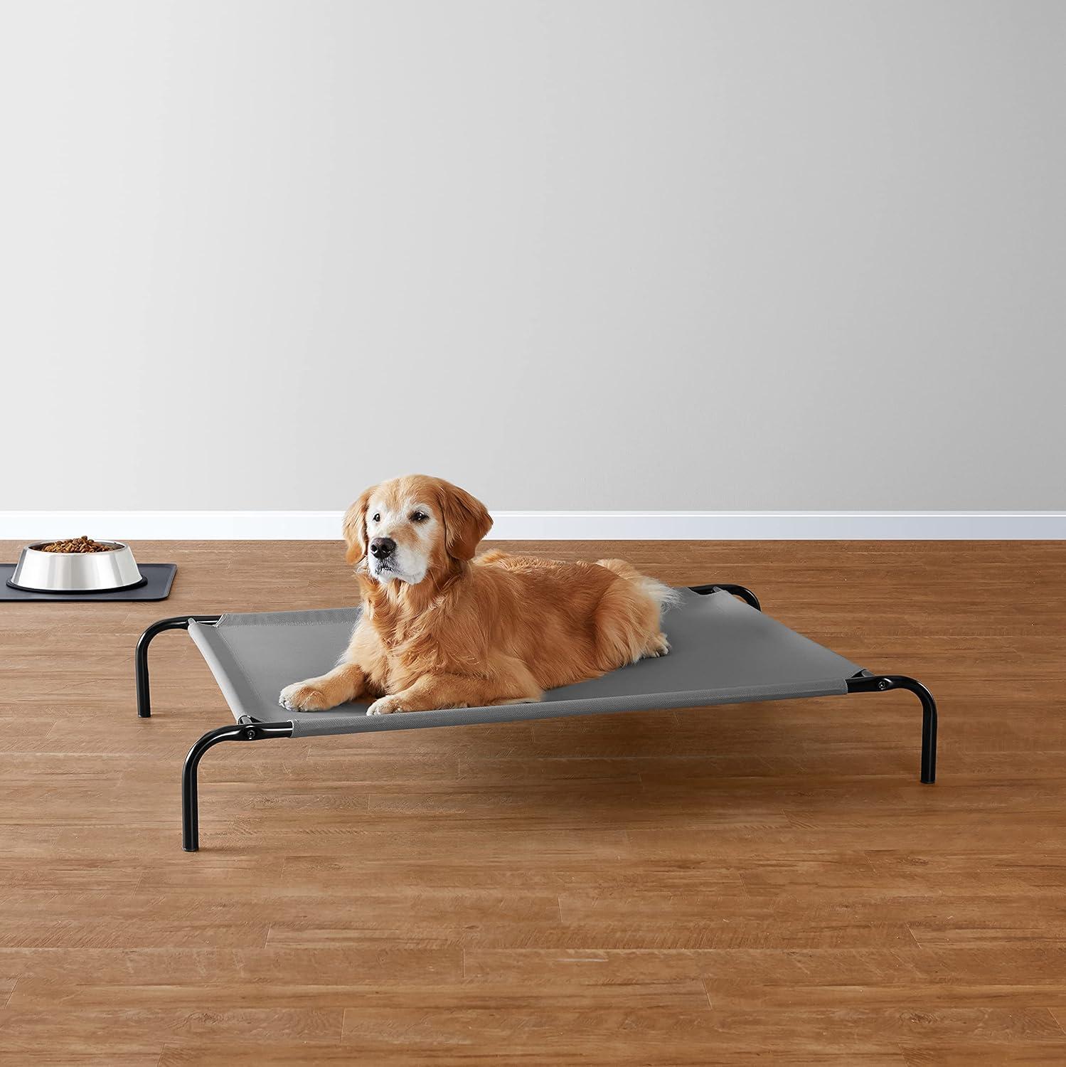How Our Largeā Dogs Stay Cool and comfy on āElevated Beds