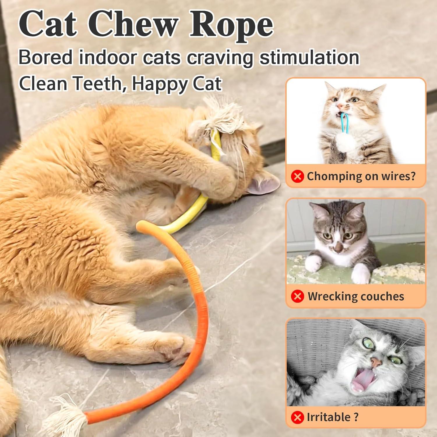 How Our Cats Found Joy and Clean​ Teeth‍ with Natural Catnip Ropes