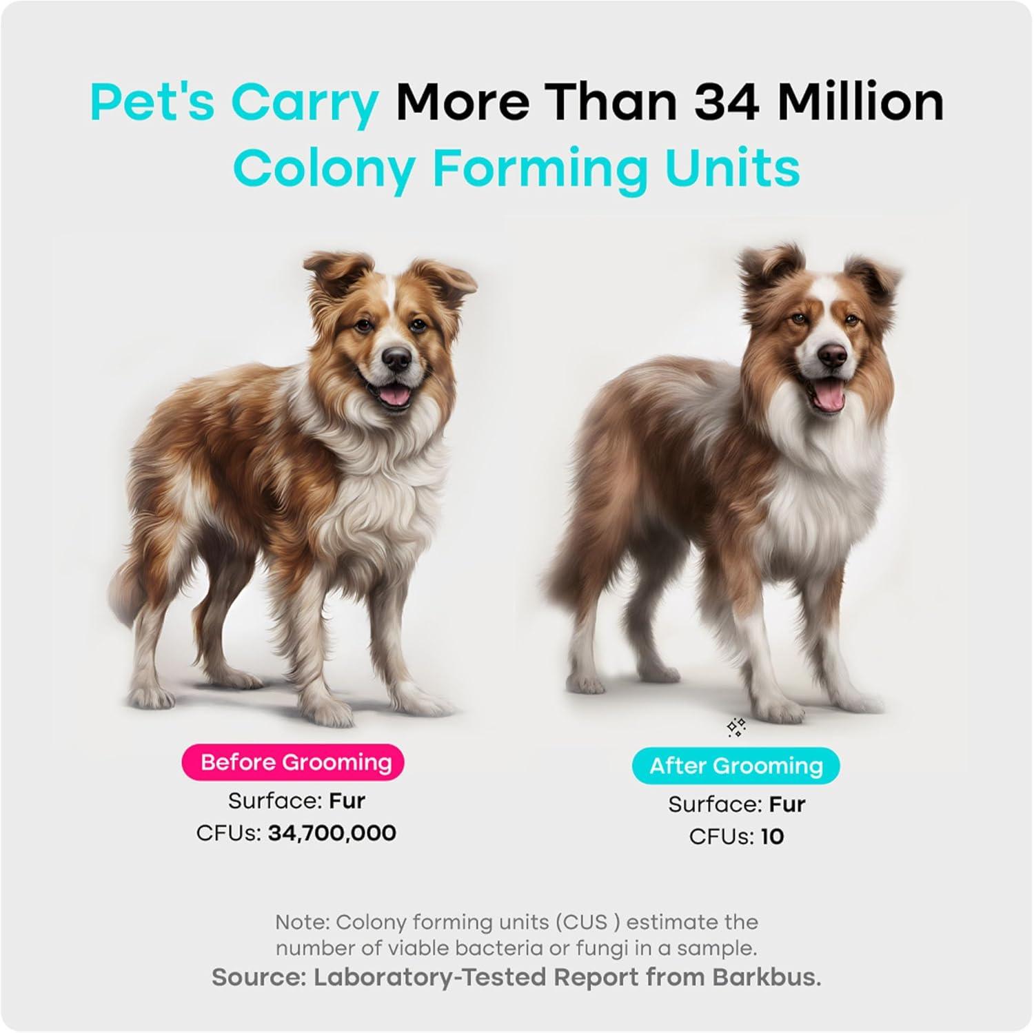 How We Finally Tamed Our Pets’ Hair Mess—Quiet, Complete Care