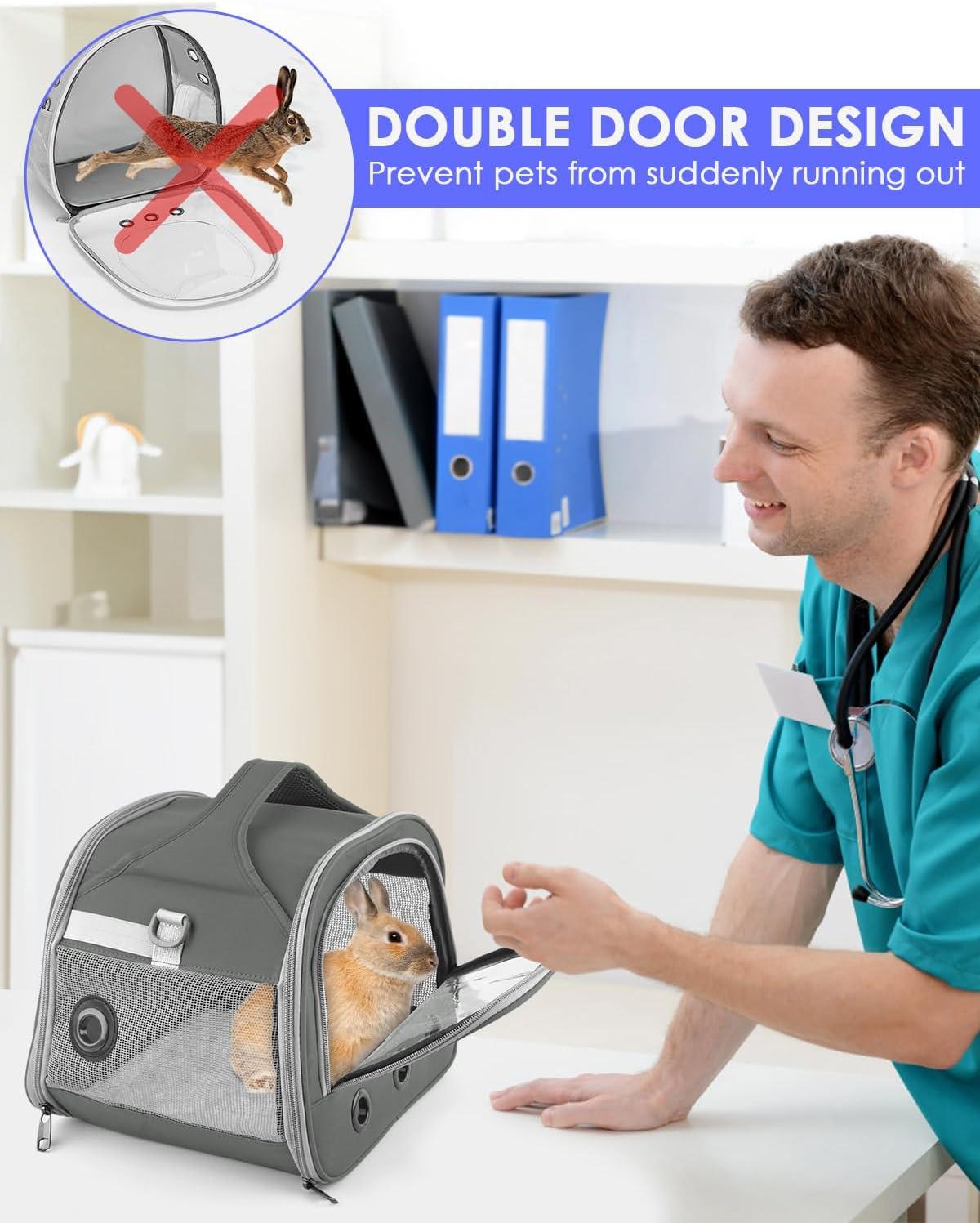 Keeping Our Small Pets Safe and Comfy on Every Outing