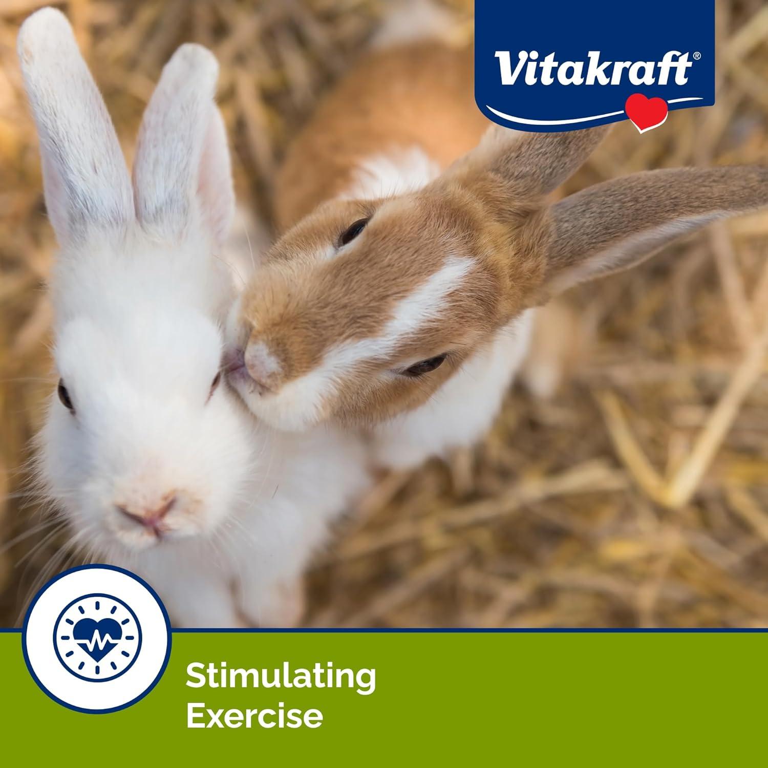 The Chew Toy that Keeps Our Bunny’s Teeth Healthy and Happy