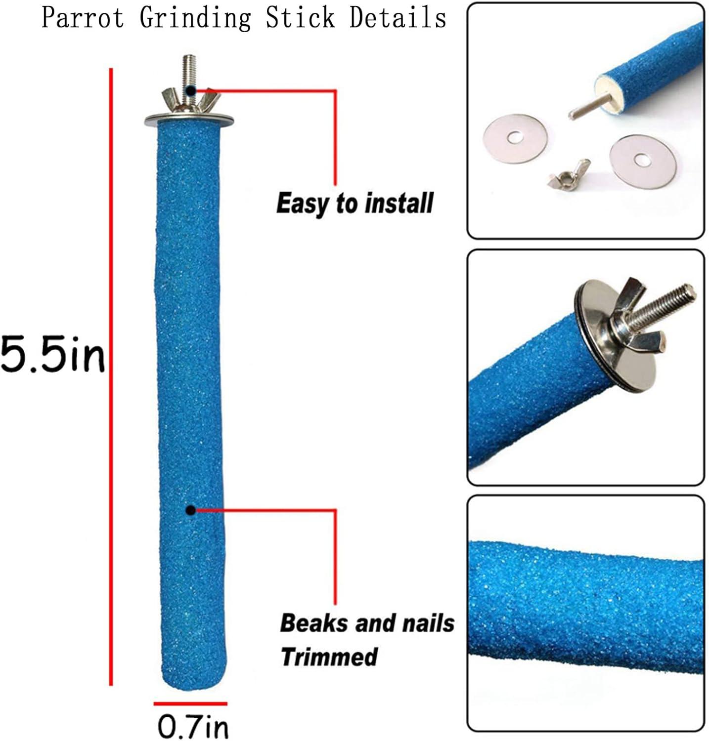 How Our Birds Thrived with PINVNBY’s Sturdy Stainless Steel Bowls