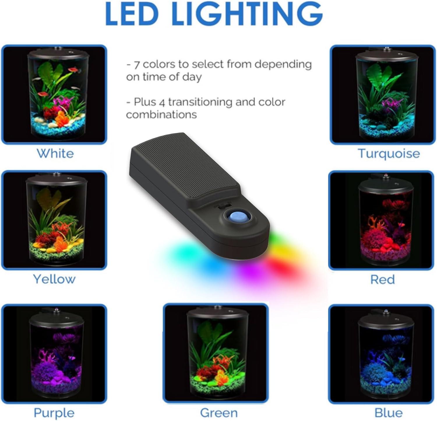 How Our‍ 3-Gallon Aquarium Brings Color and Clarity to Life