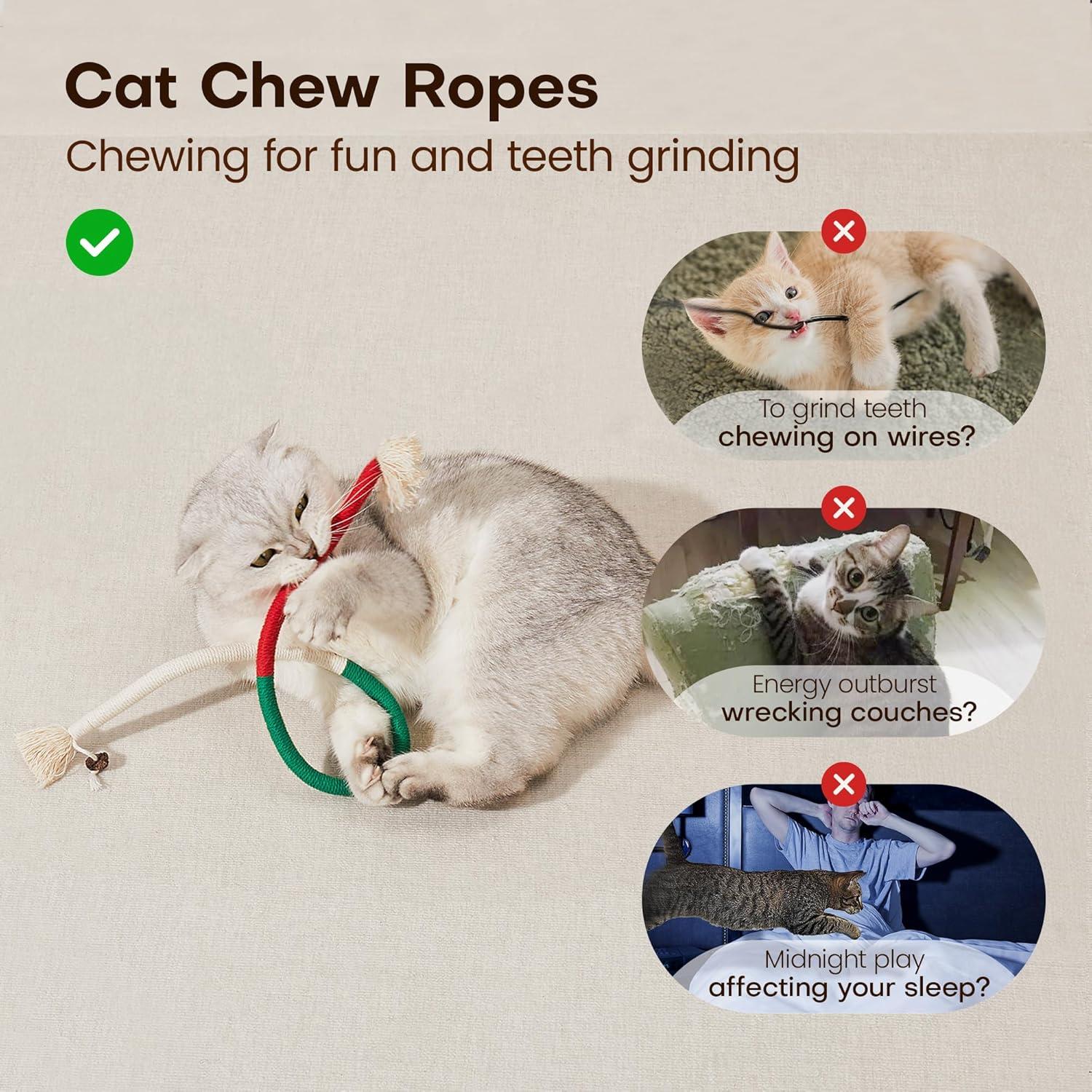 How Our Kittens Stay Happy and Healthy with Potaroma Chew Ropes