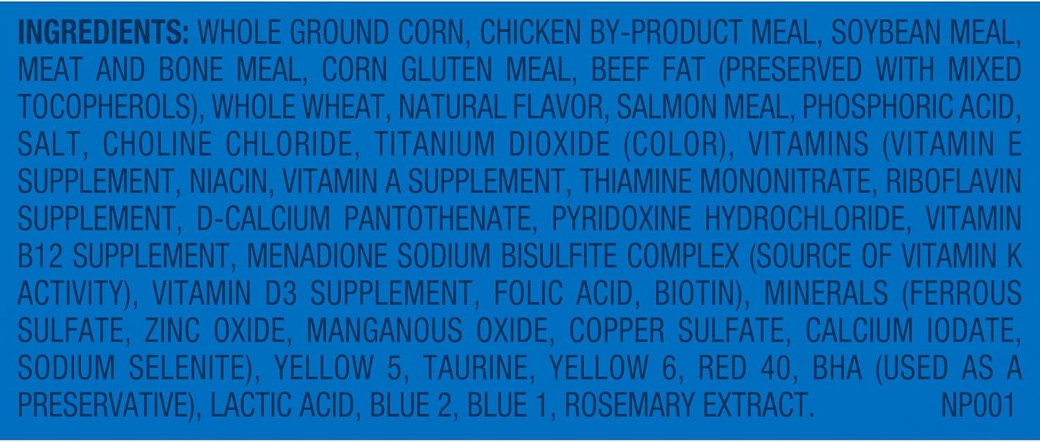 The Balanced Feast Keeping Our Cats Healthy and Happy Daily