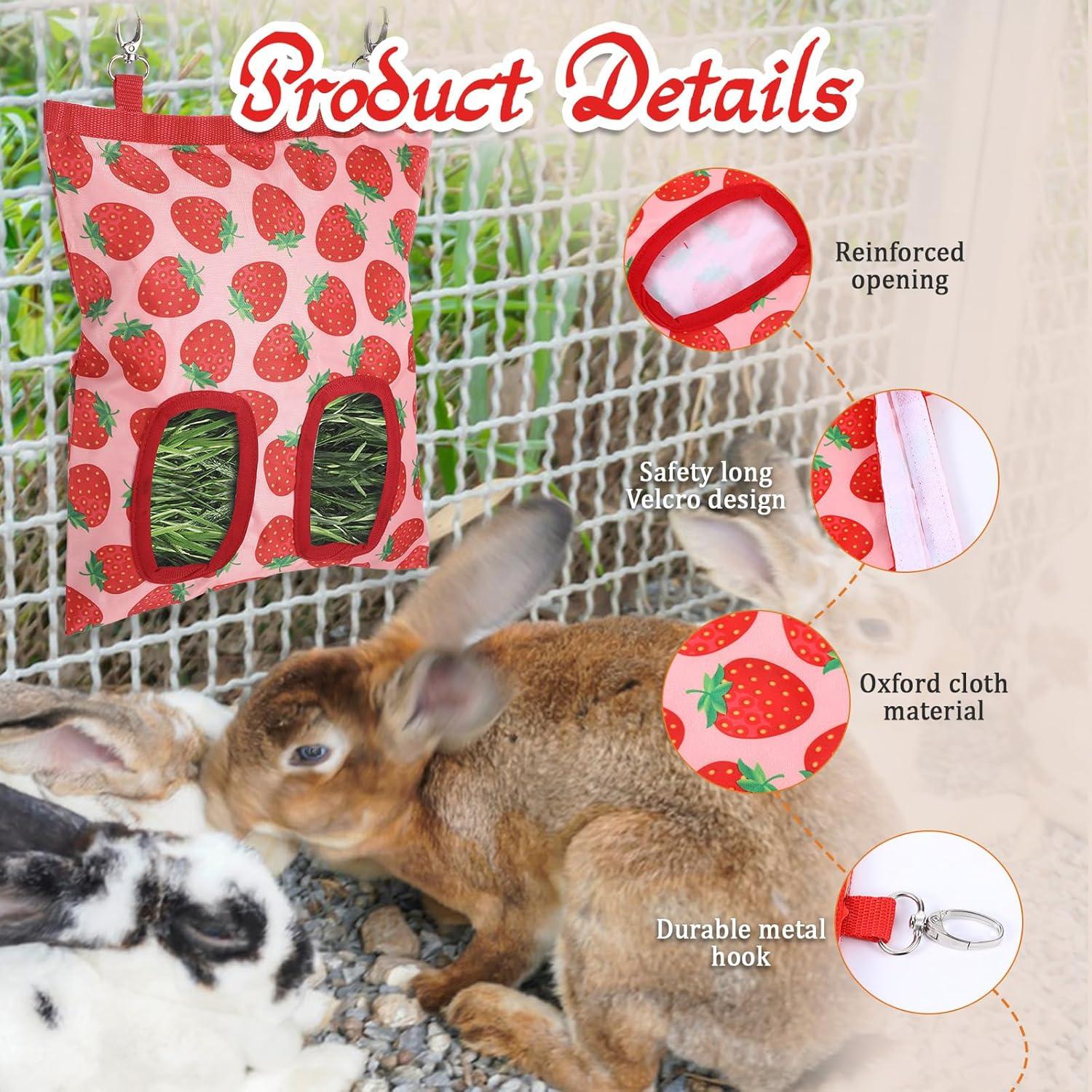 How This Durable Hay Feeder Keeps ‌Our Small Pets Happy and ‍Clean