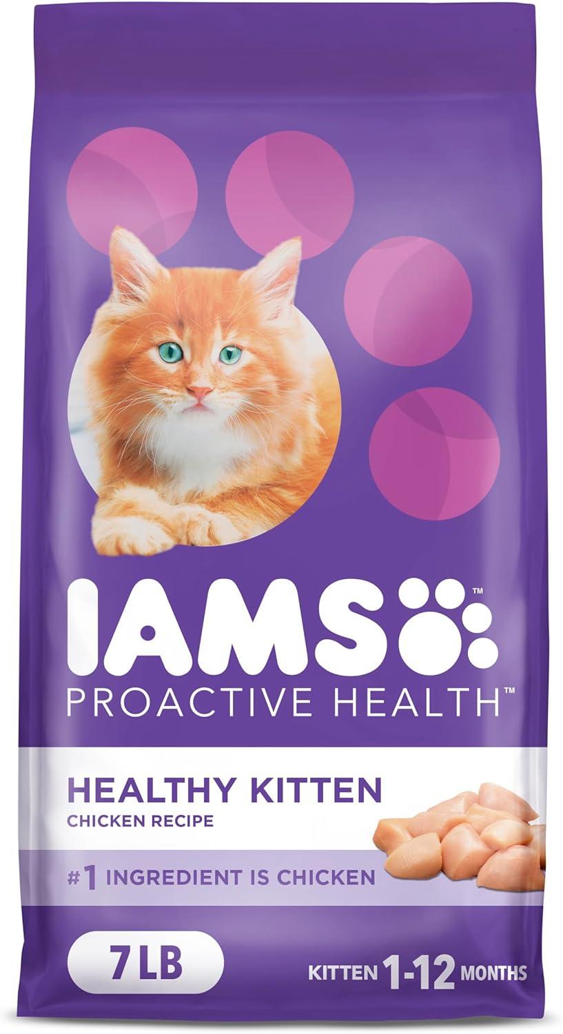 How Our Kittens ‌thrive with IAMS’ Balanced Chicken Nutrition