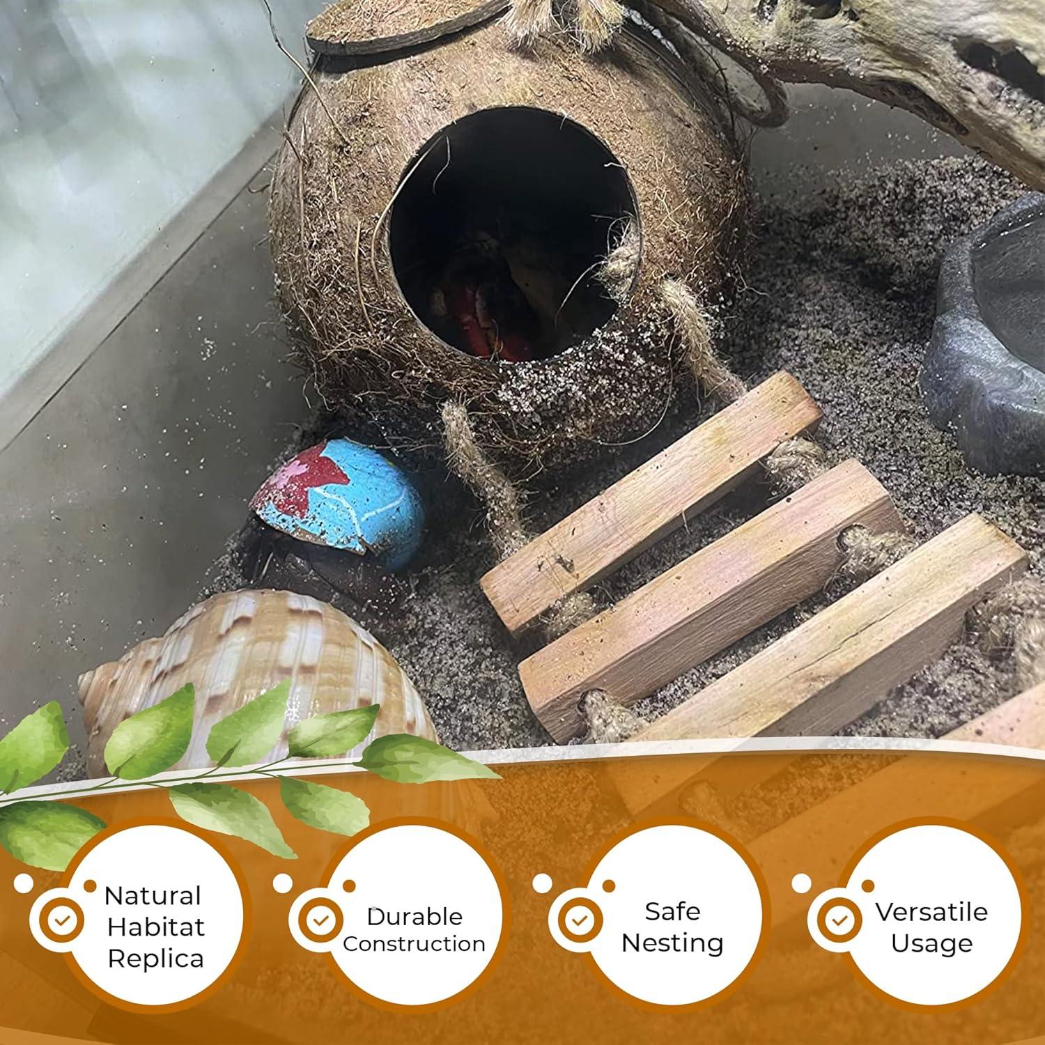 how Our Gecko’s Coconut Hide Inspires Play ‌and Cozy Comfort