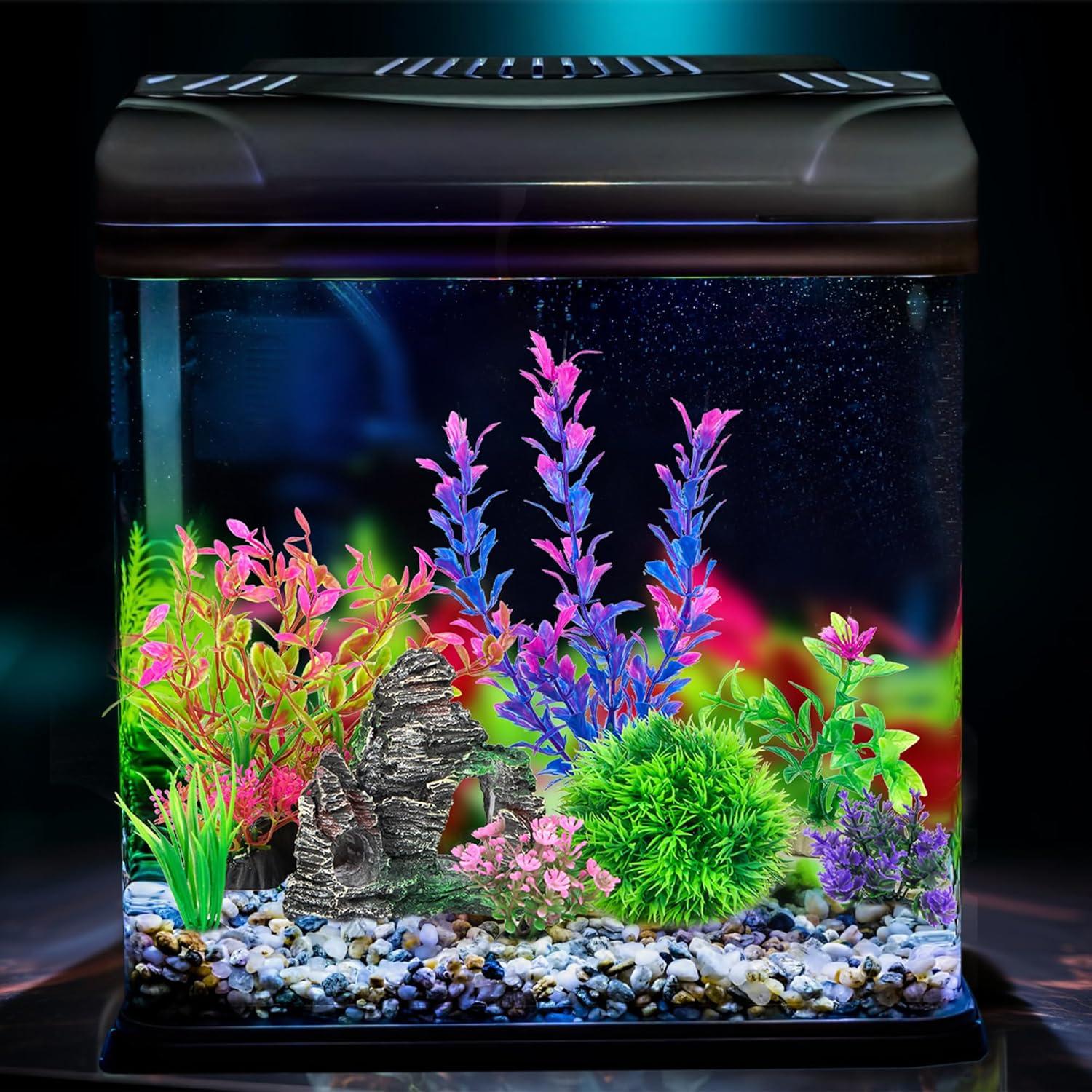 How We Transformed Our Tank Into a Lively Underwater Haven
