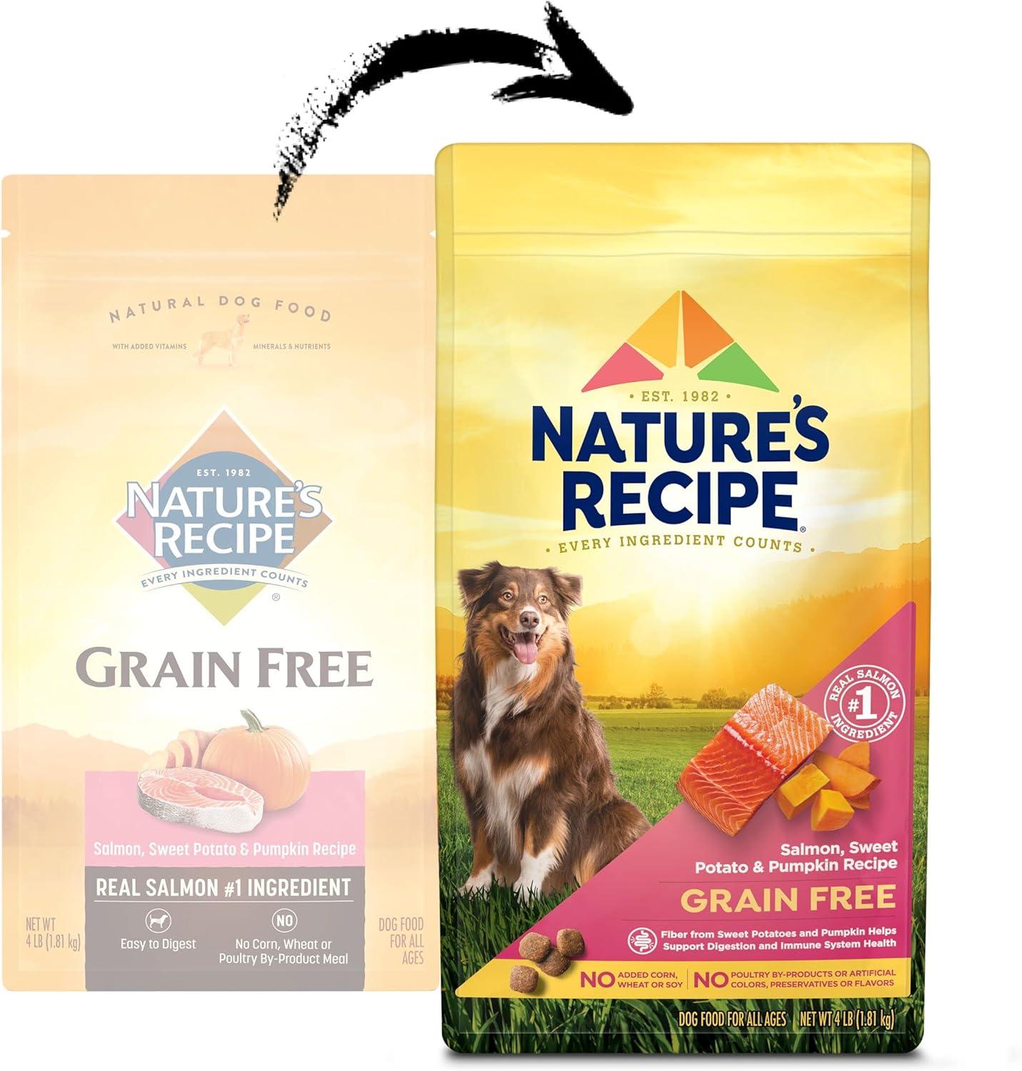 Fueling Our Dogs’ Health: Salmon & Pumpkin Kibble That Delivers