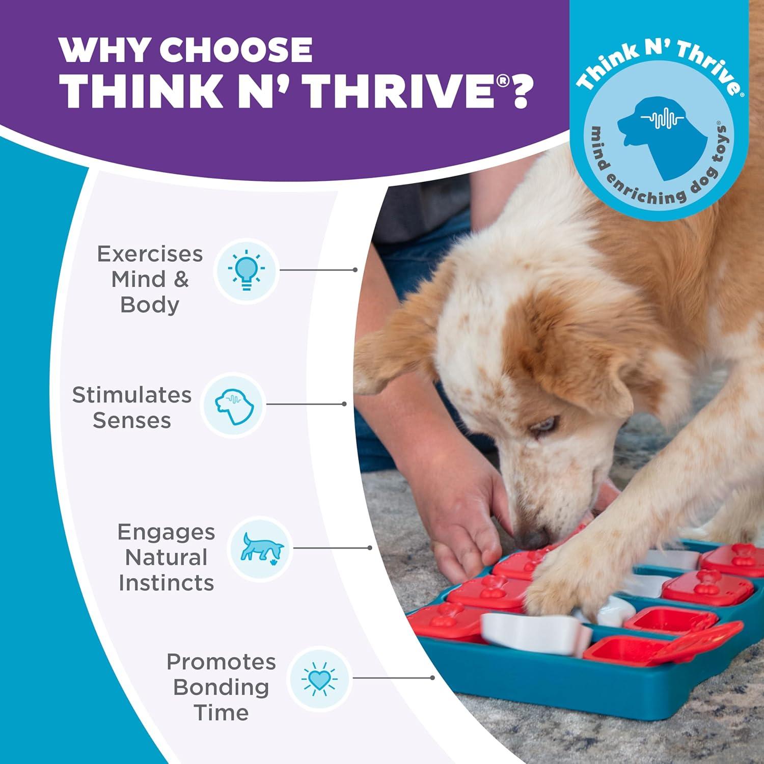 Keeping Our Dogs Sharp: The Interactive Puzzle That Turns Treats Into Brain ‌Games