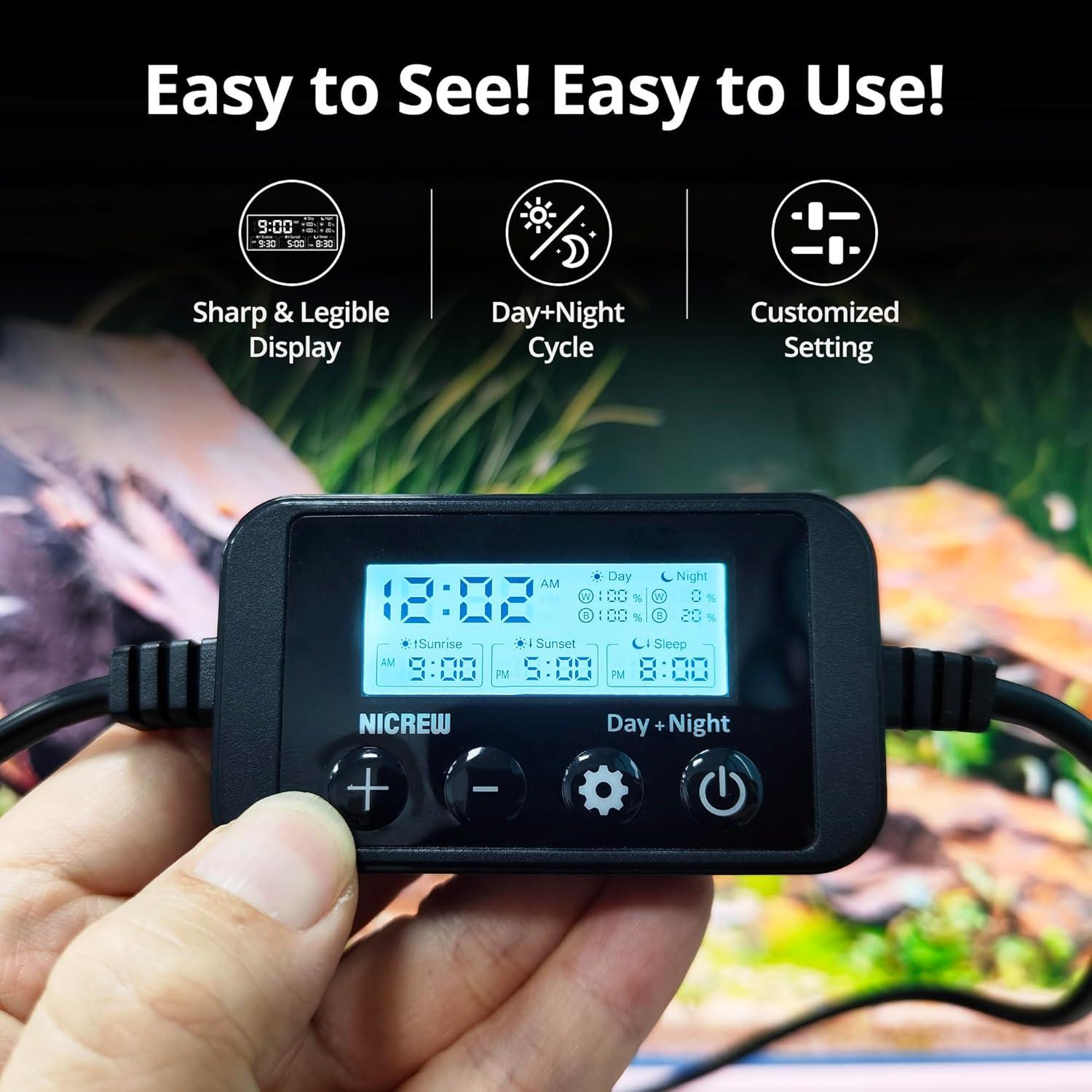 How We Transformed Our Tank Into a Lively Underwater Haven