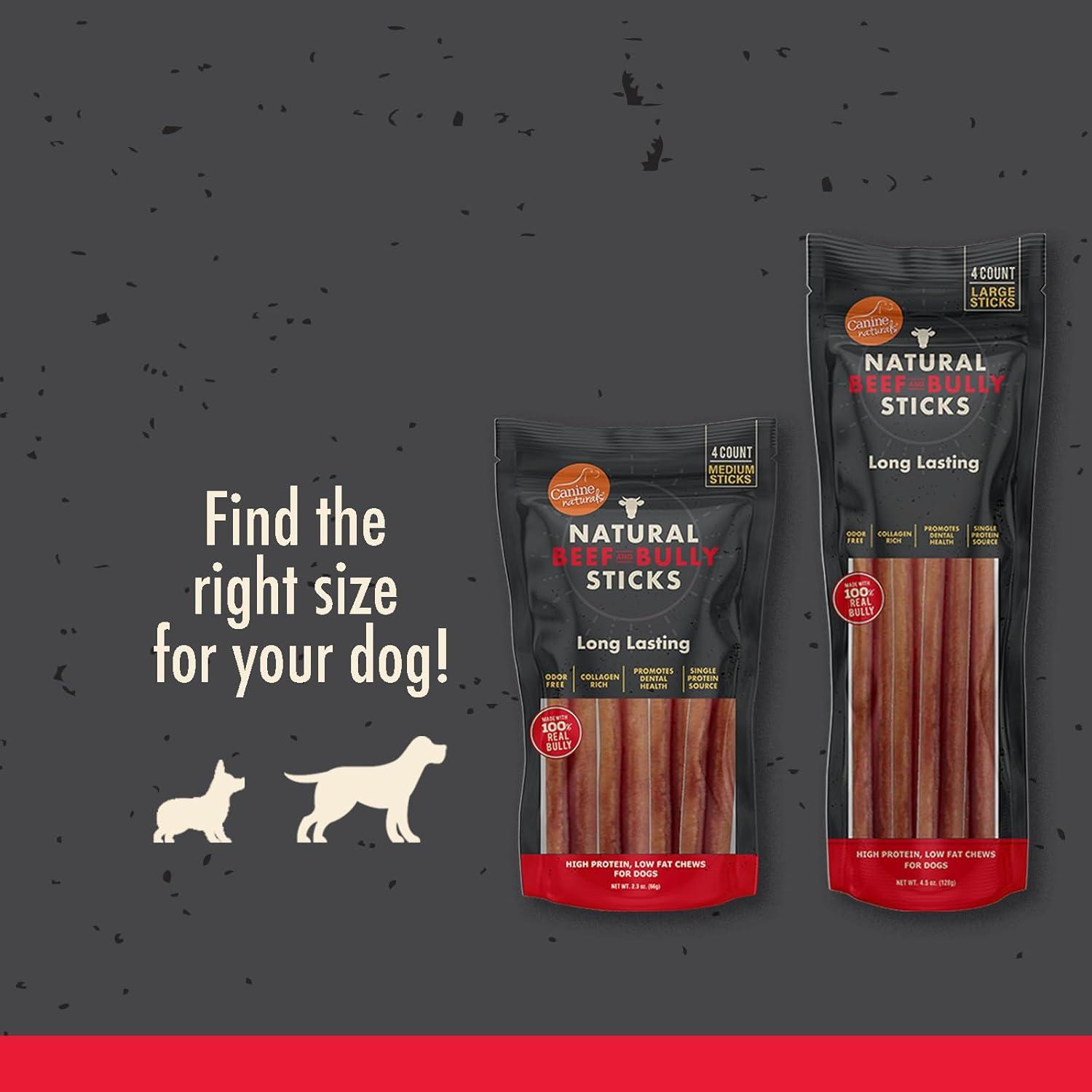 The Long-Lasting, Odor-Free Chew Our Dogs Can’t Get Enough Of