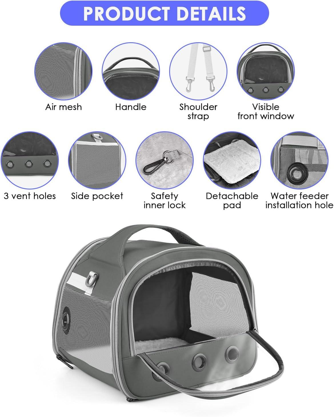 Keeping Our Small Pets Safe and Comfy on Every Outing